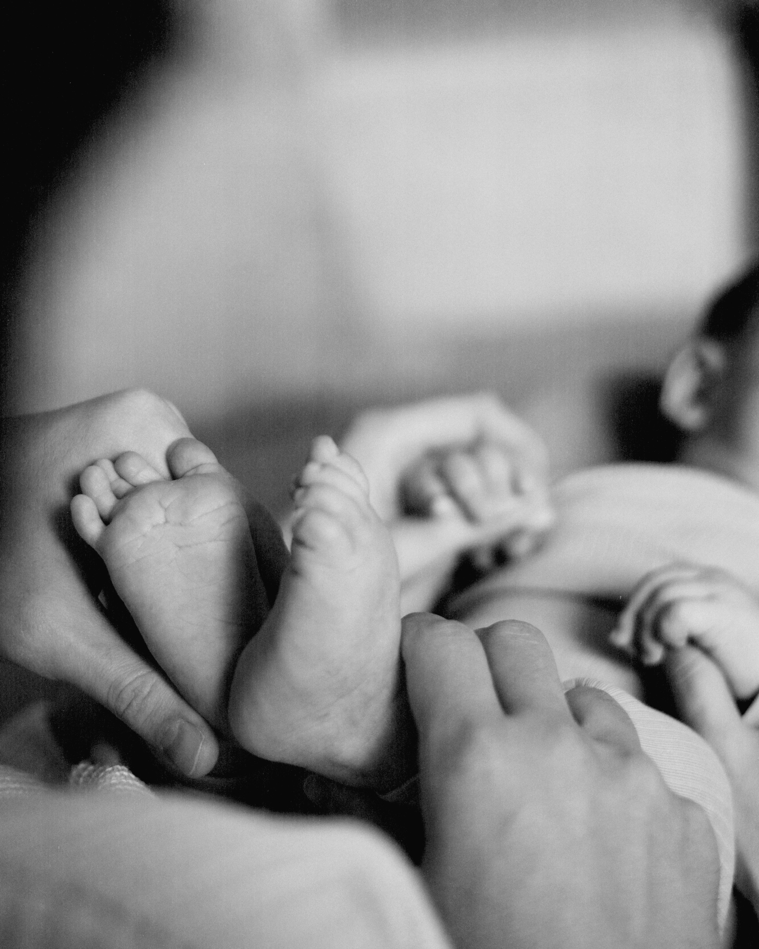 Fedya. SHILOVA PHOTO. Шилова Екатерина. Фотограф. Москва