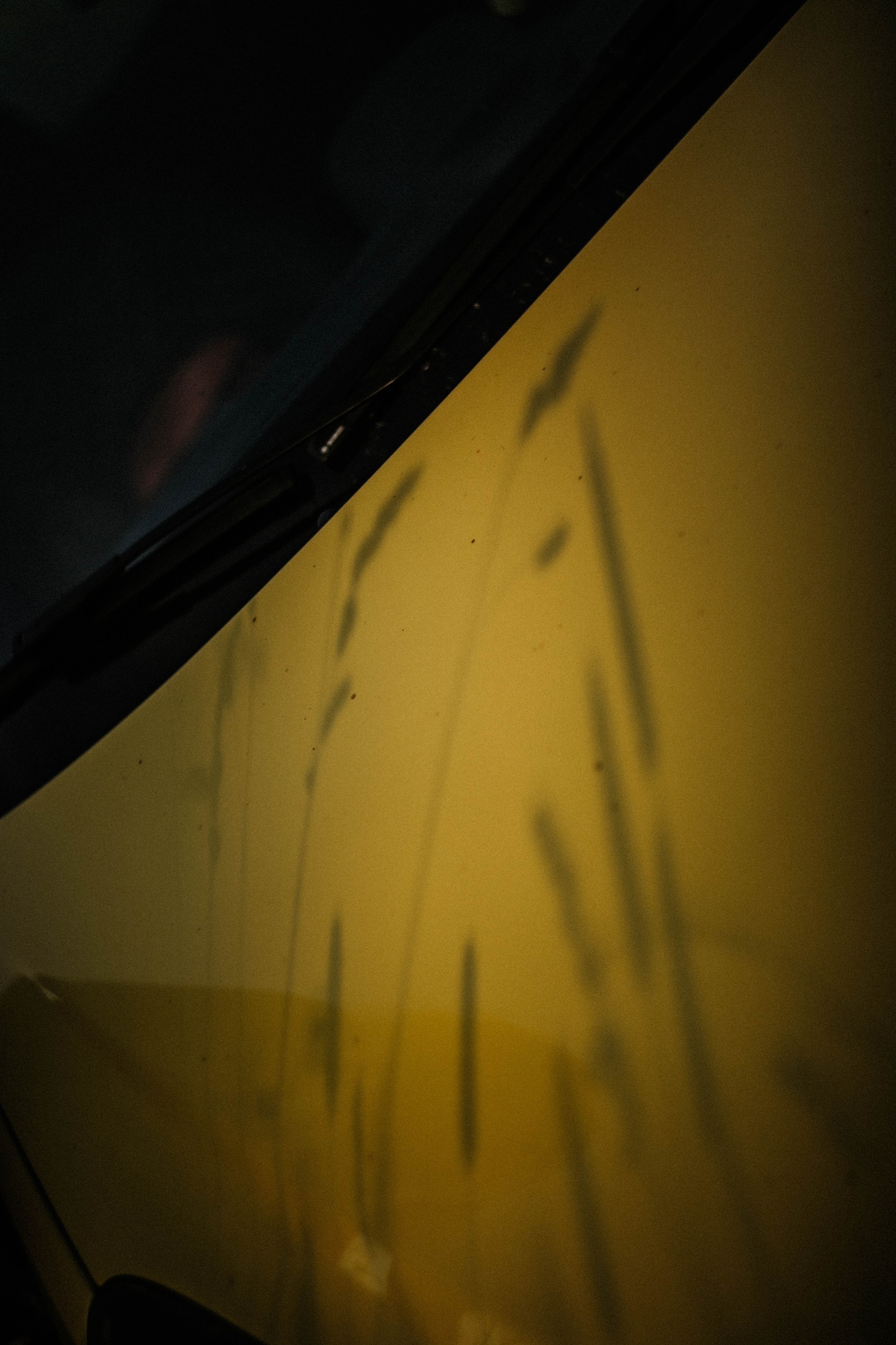 Ирина. Закат. Поле. Фотограф в Нижнем Новгороде