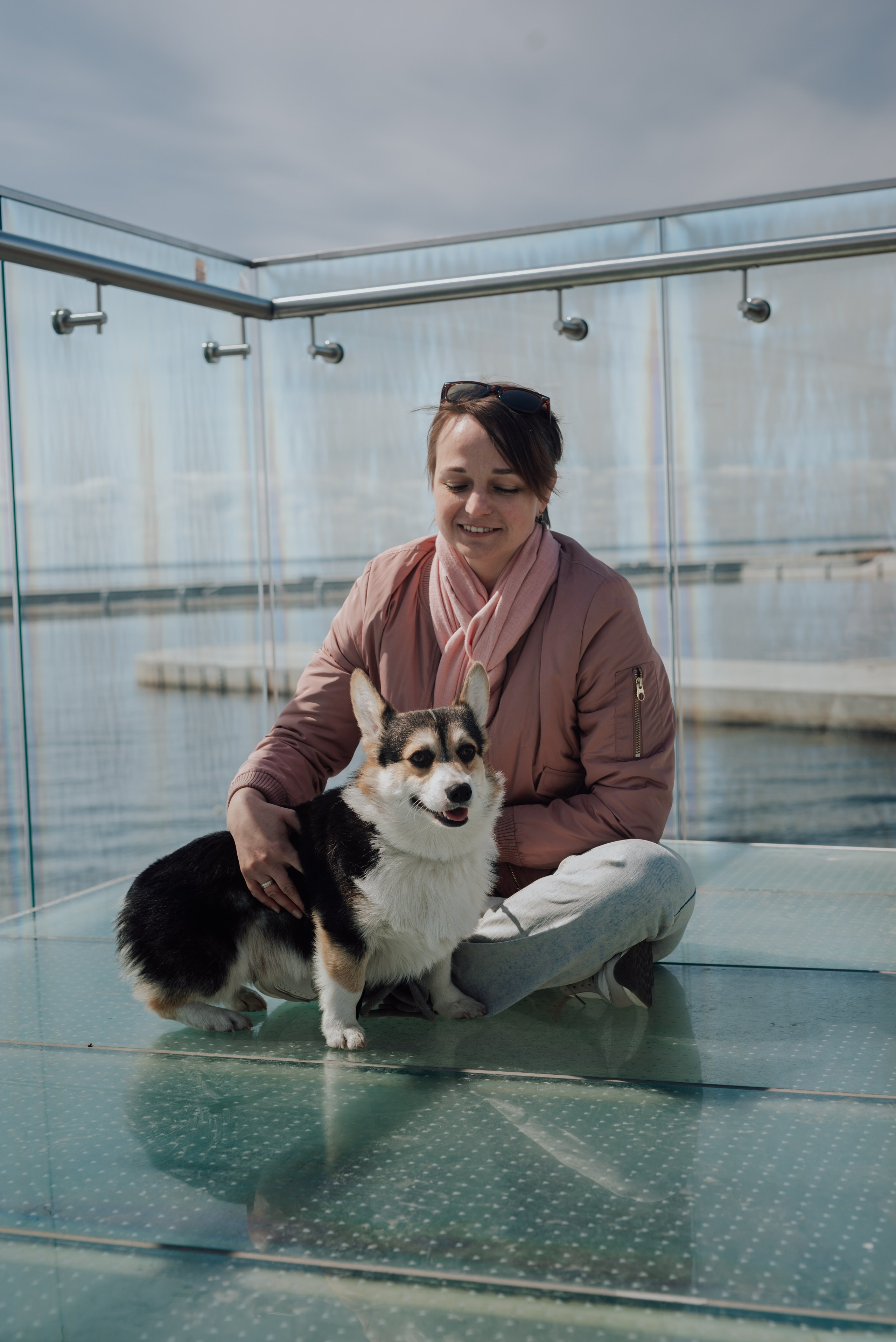 Фотодень с хаски. Фотограф в Санкт-Петербурге и Ленинградской области