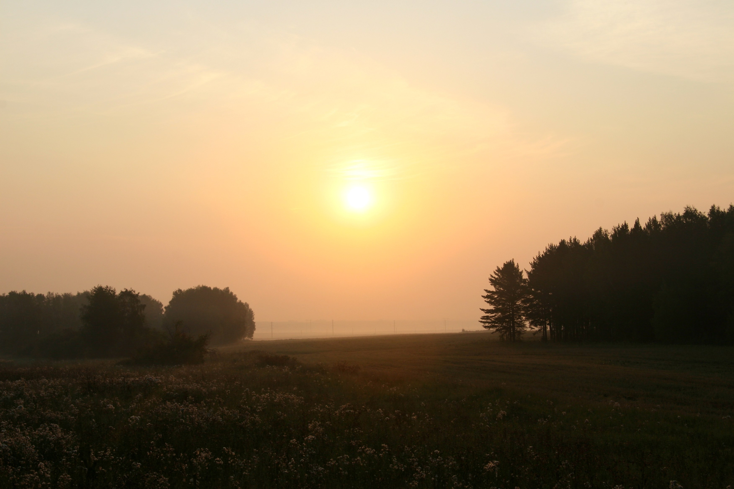 Живописные фотографии природы. Фотограф в Москве и Подмосковье, Николай Сорокин