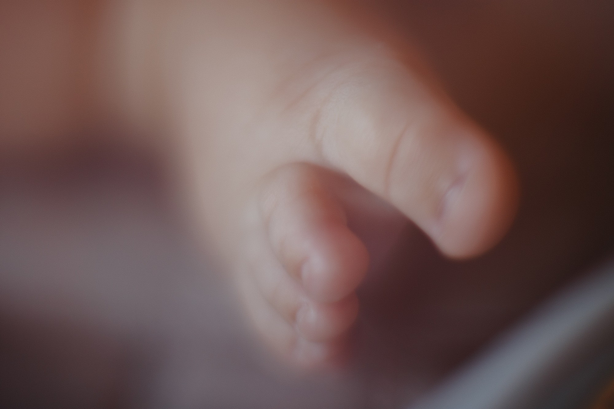 Family. Боченков Вадим | Фотограф в Пскове и Санкт-Петербурге