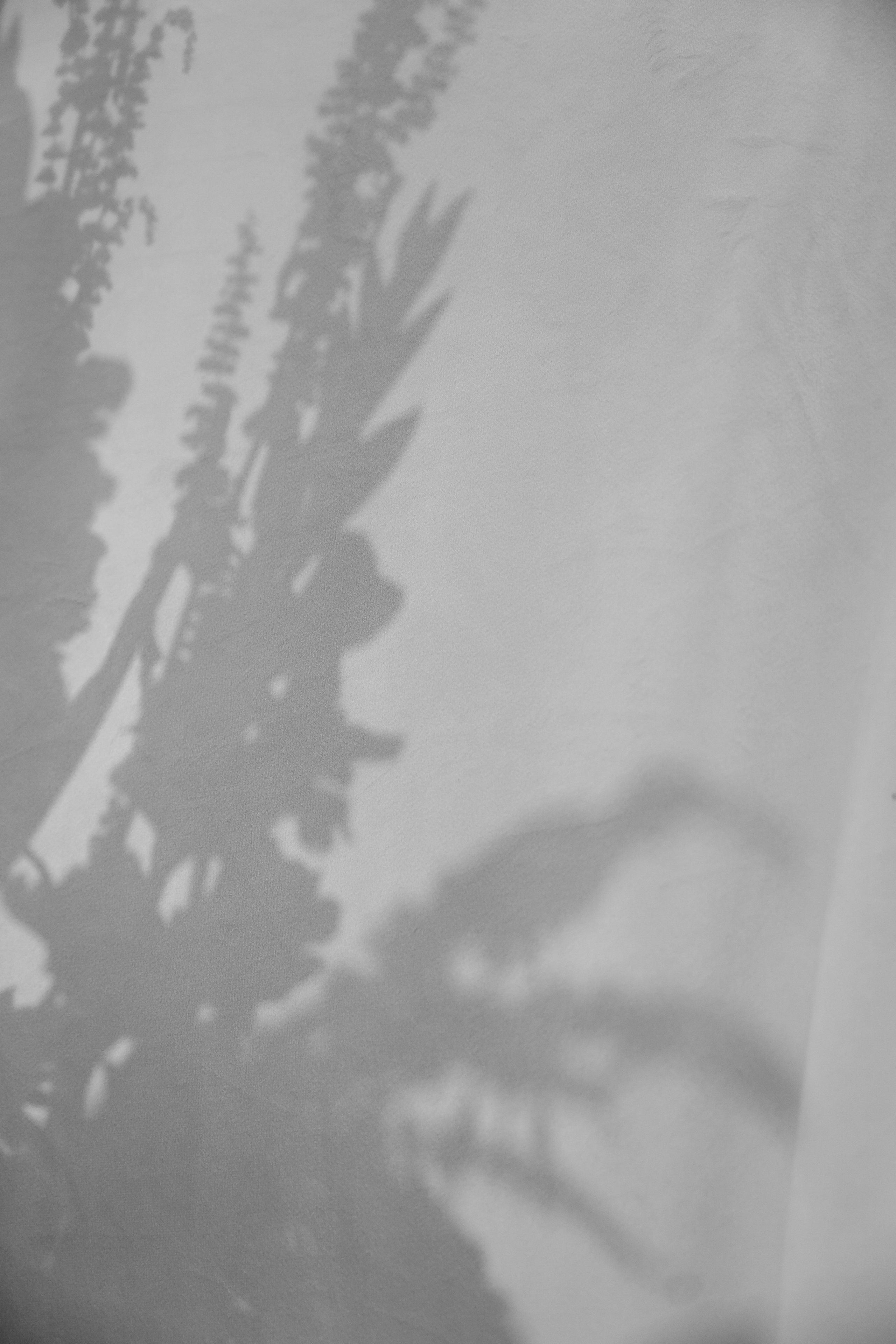 AV. Свадебный фотограф Краснодар и Москва. Анна Еремчук