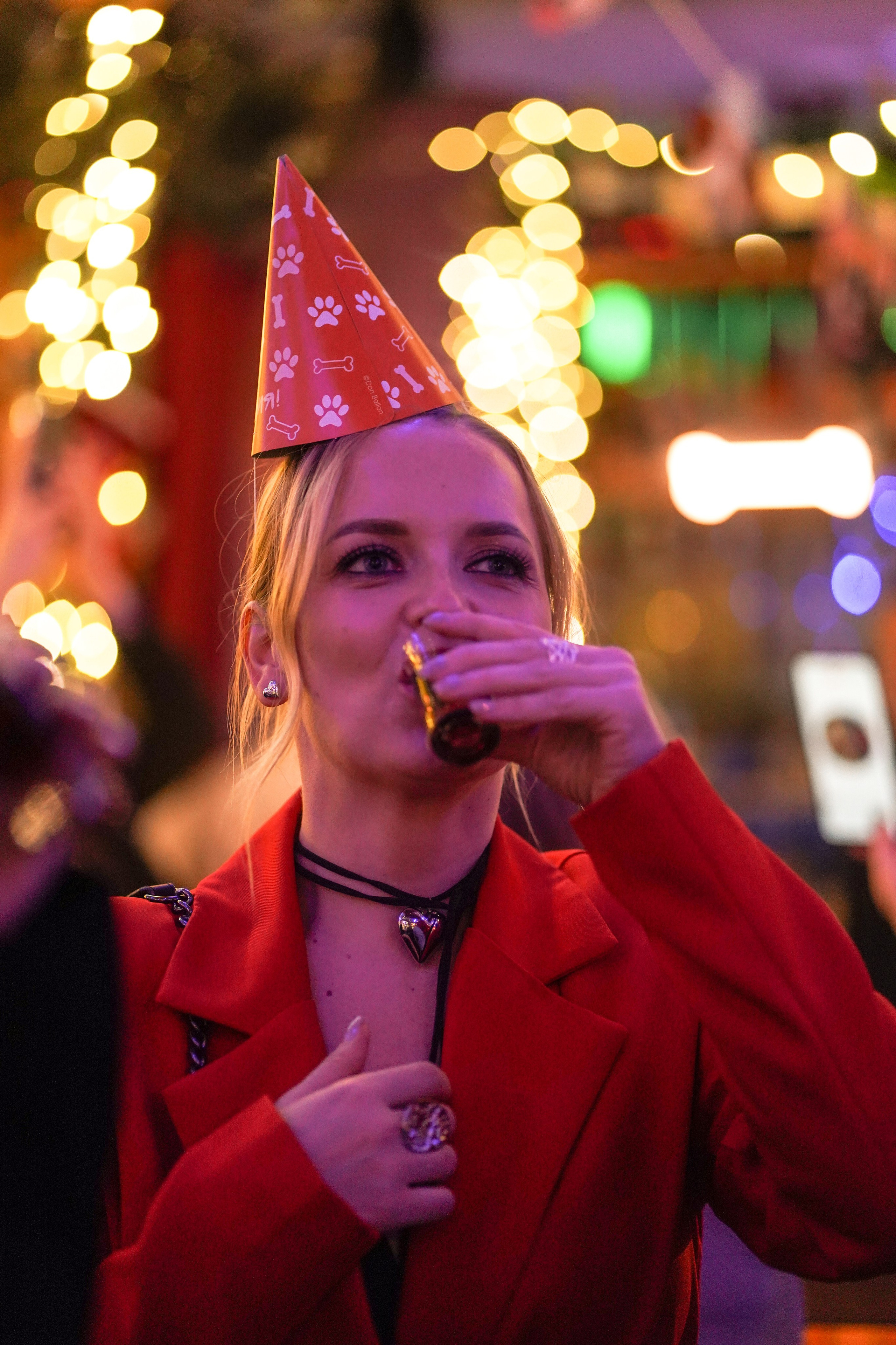 Бар Собаки в тумане. Фотограф