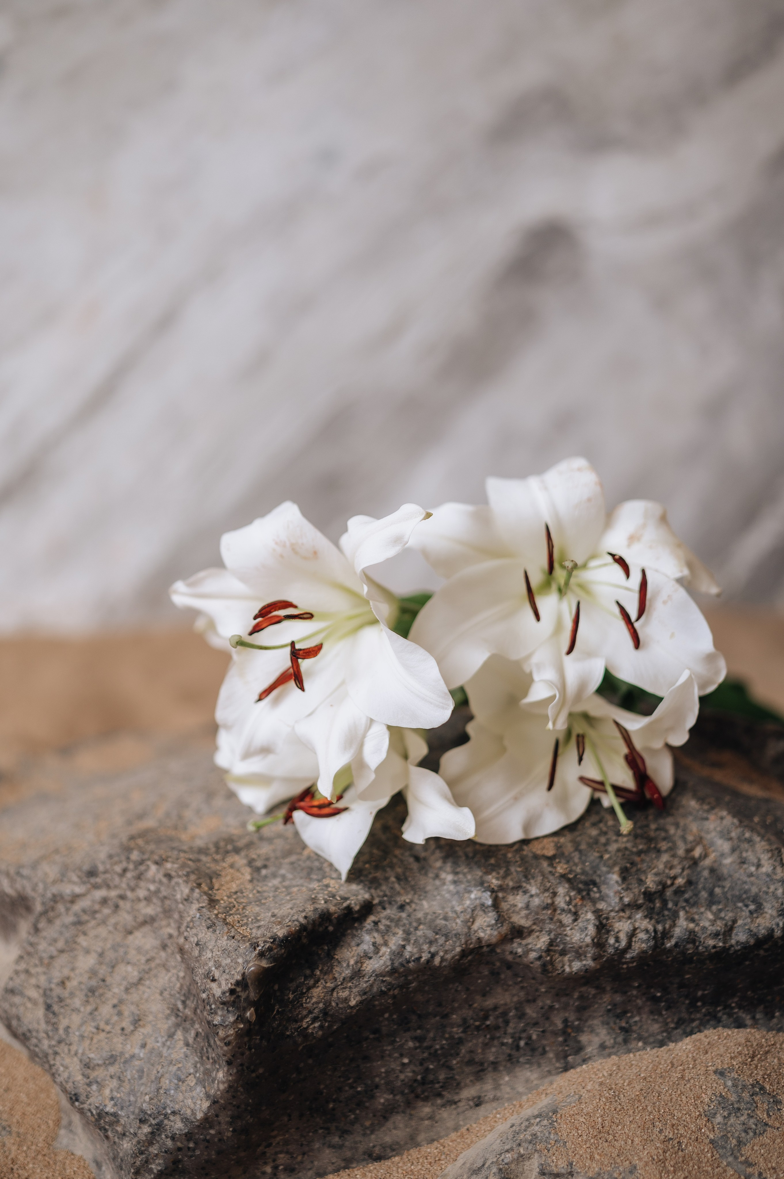 Индивидуальная фотосессия в студии для Софии. Фотограф в Москве и Московской области Таня Яблочкина