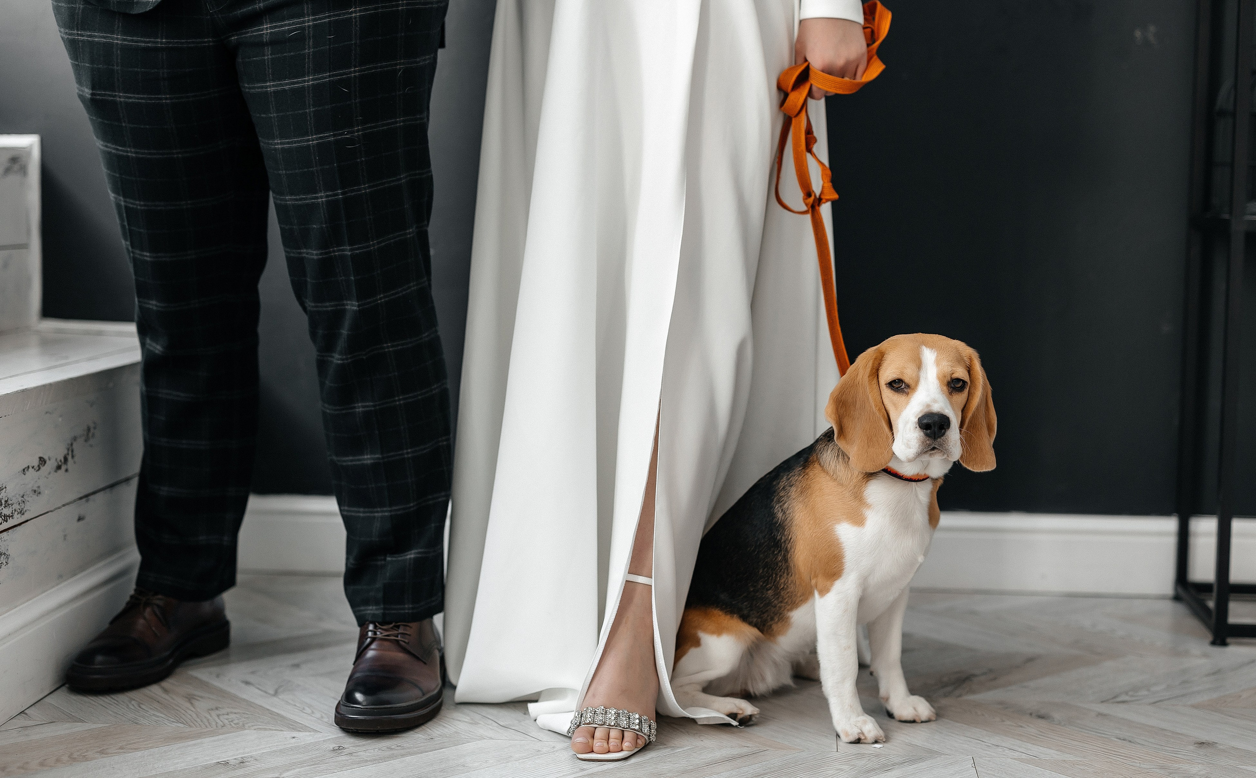 Марина & Максим | 13.01.24. Свадебный и семейный фотограф в Омске Евгения Хакимова