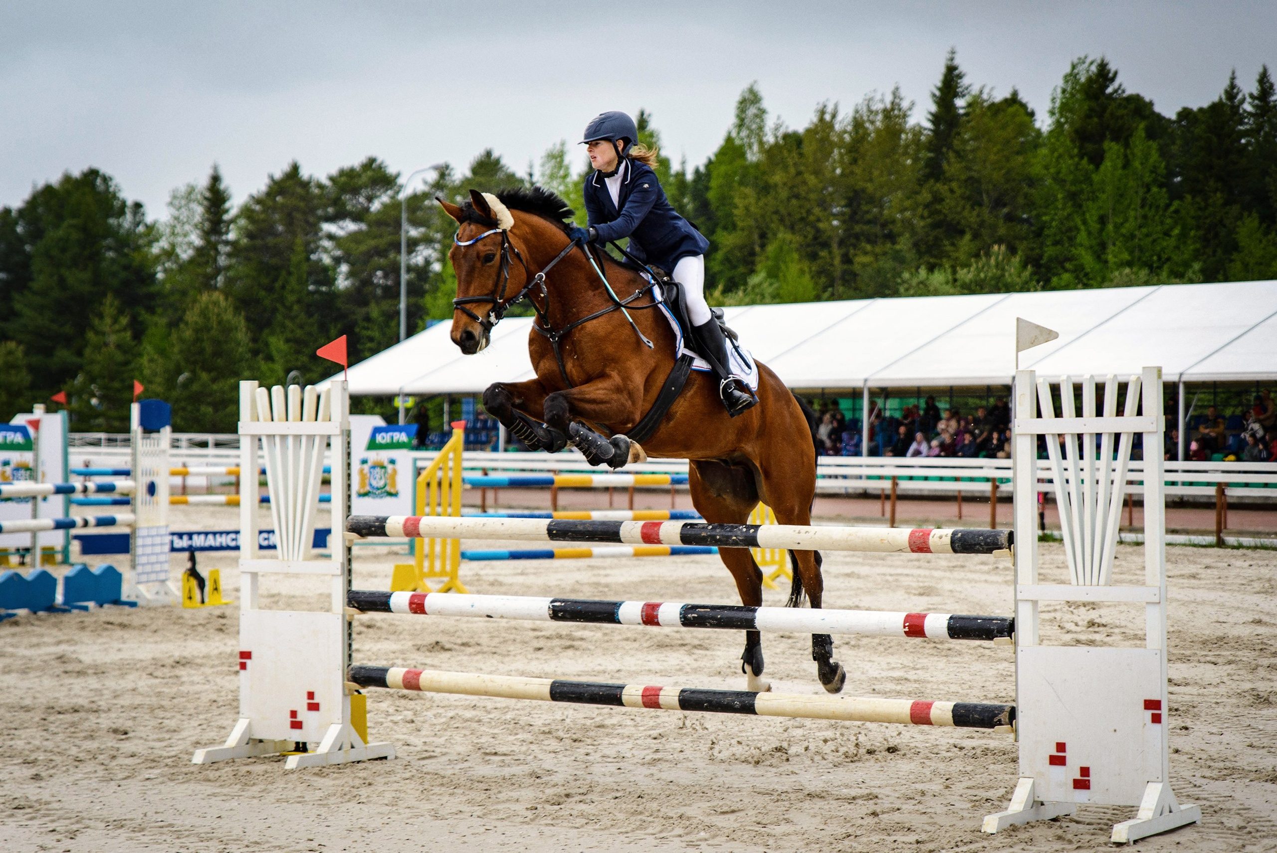 Конкур. Всероссийские соревнования. Фотограф в Ханты-Мансийске Евгений Жуланов