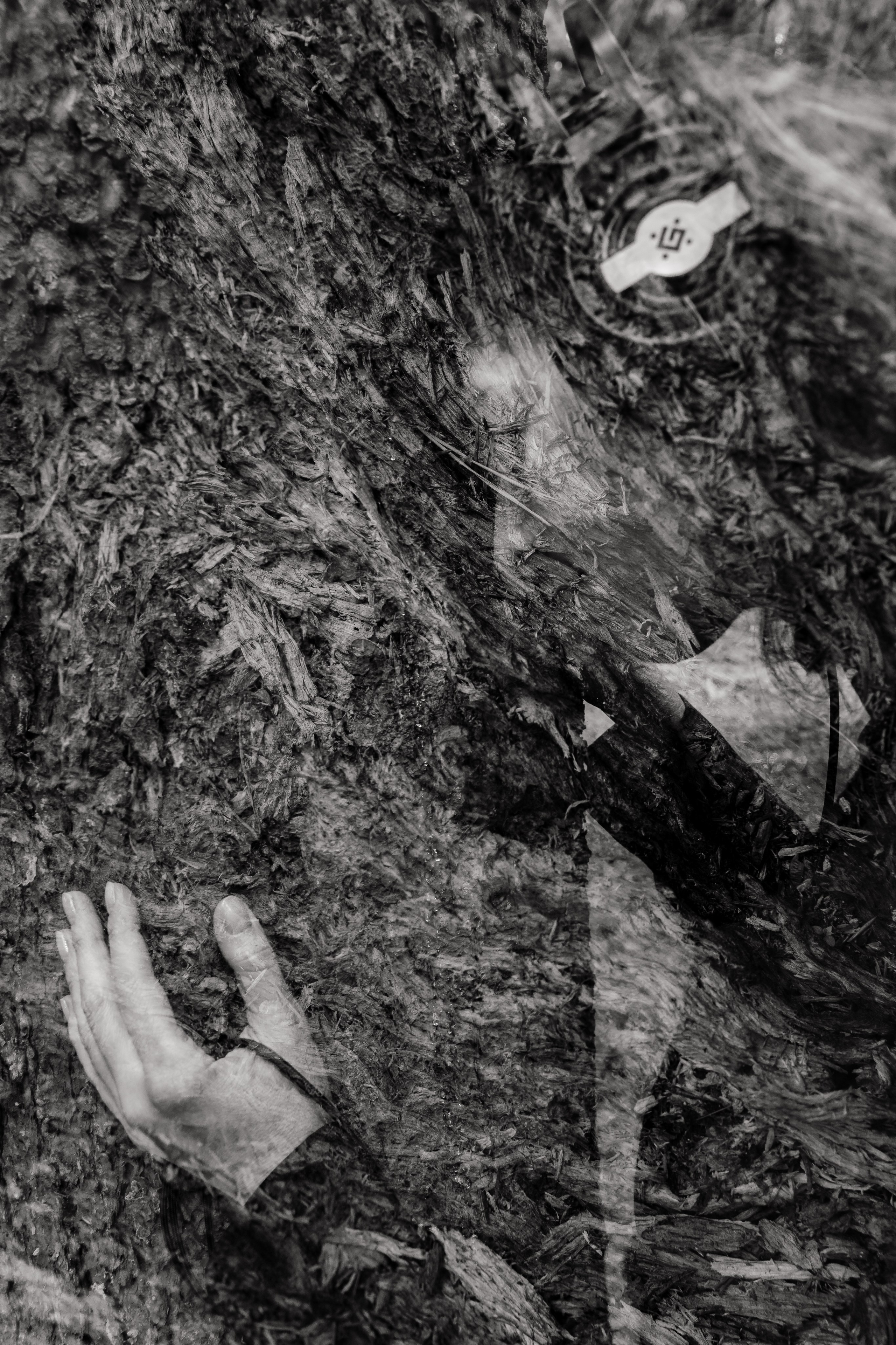 Алена. Творческий фотограф в Москве Наталья Ермолова