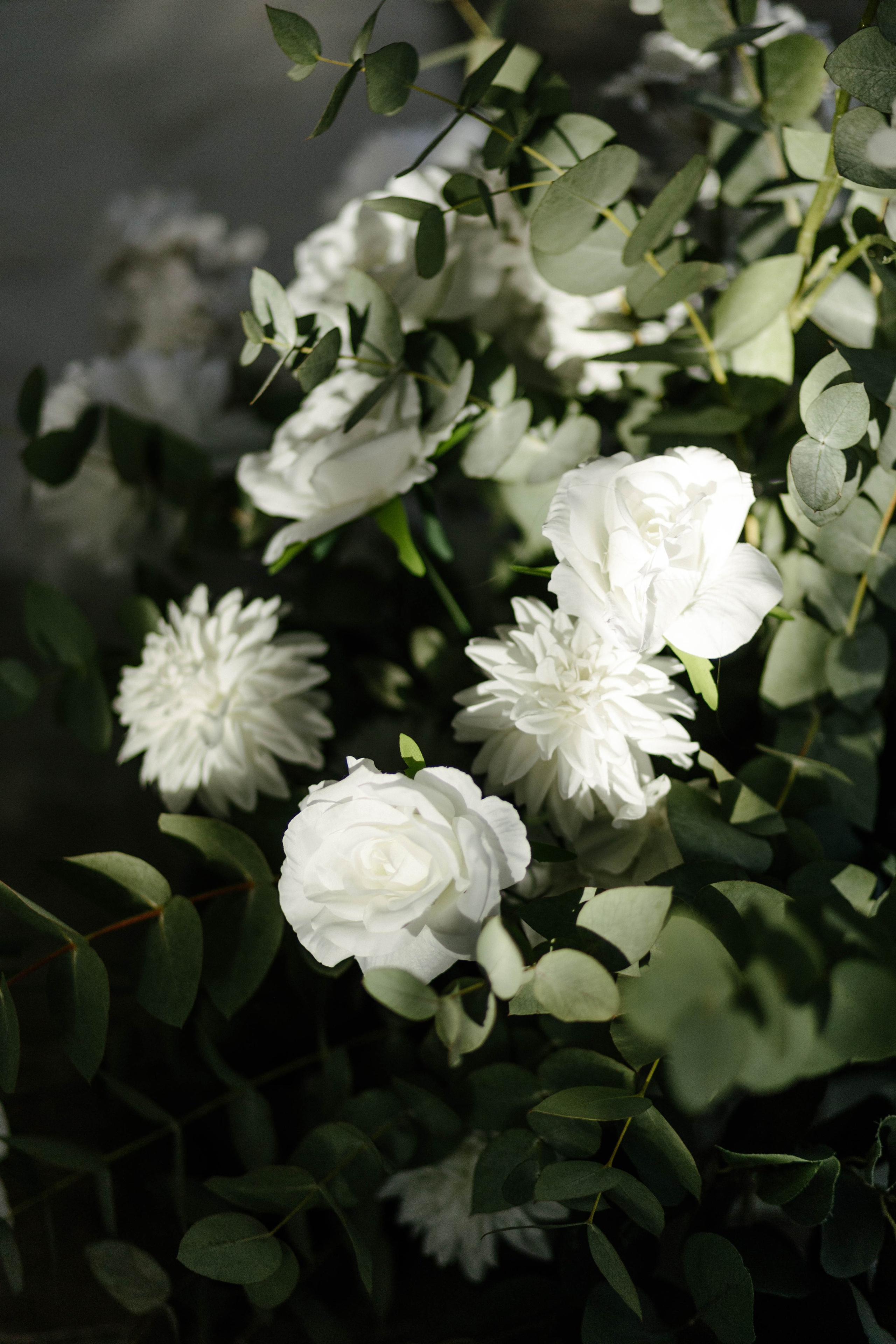 Вадим & Ульяна. Свадебный фотограф ростов