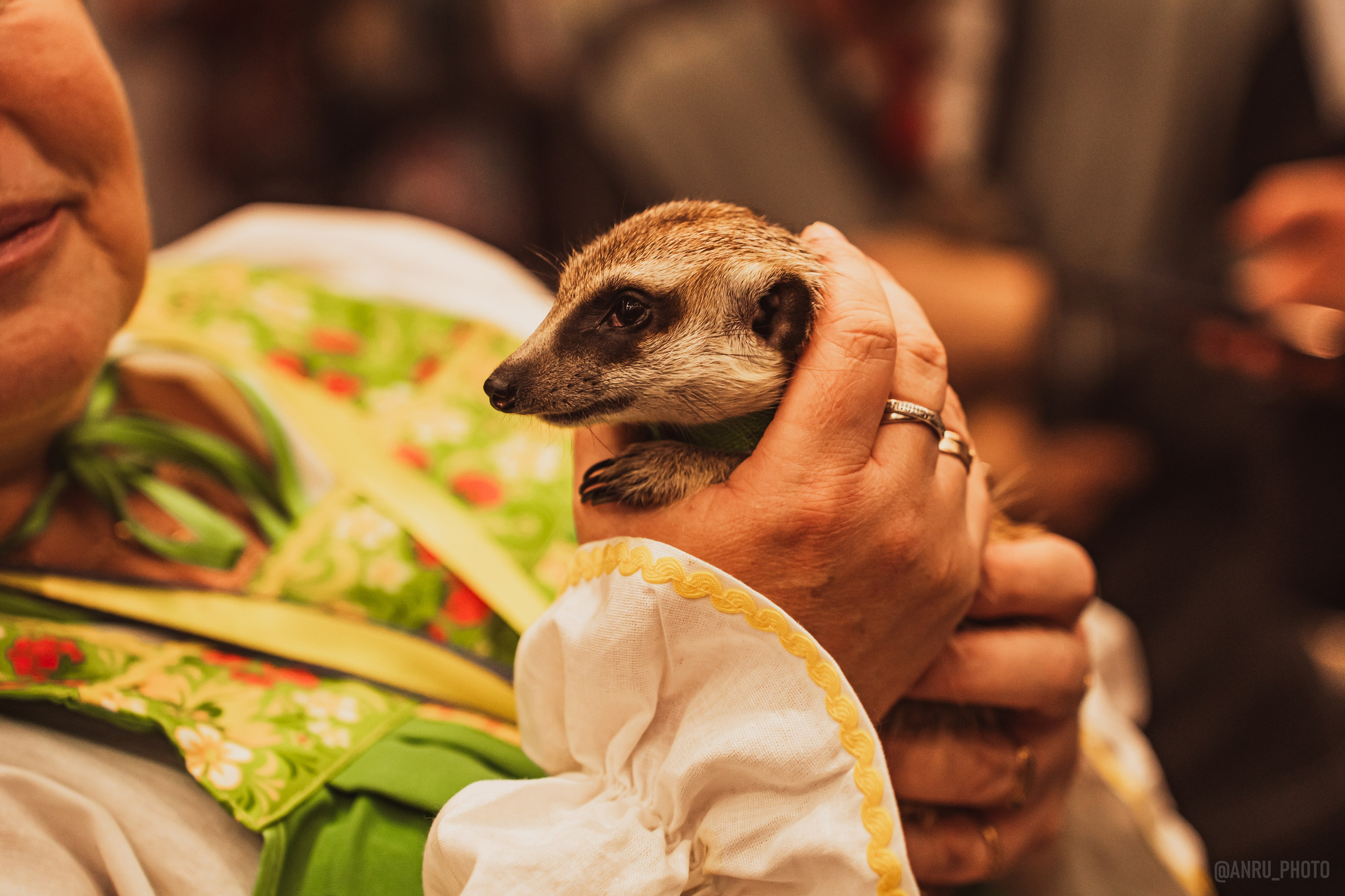 Fox Family fest. Репортажный фотограф Анастасия Рубцова