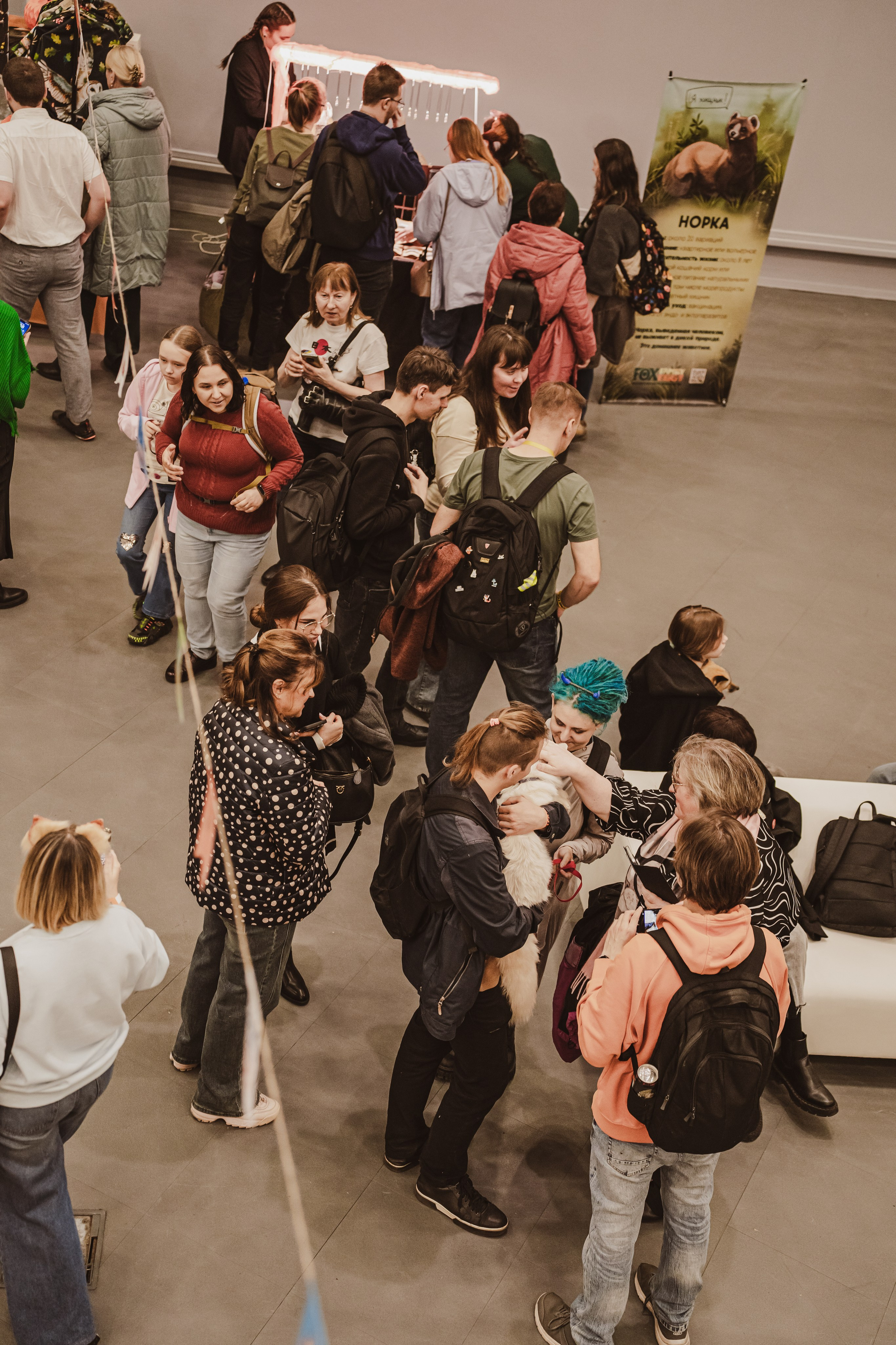 Fox Family fest. Репортажный фотограф Анастасия Рубцова