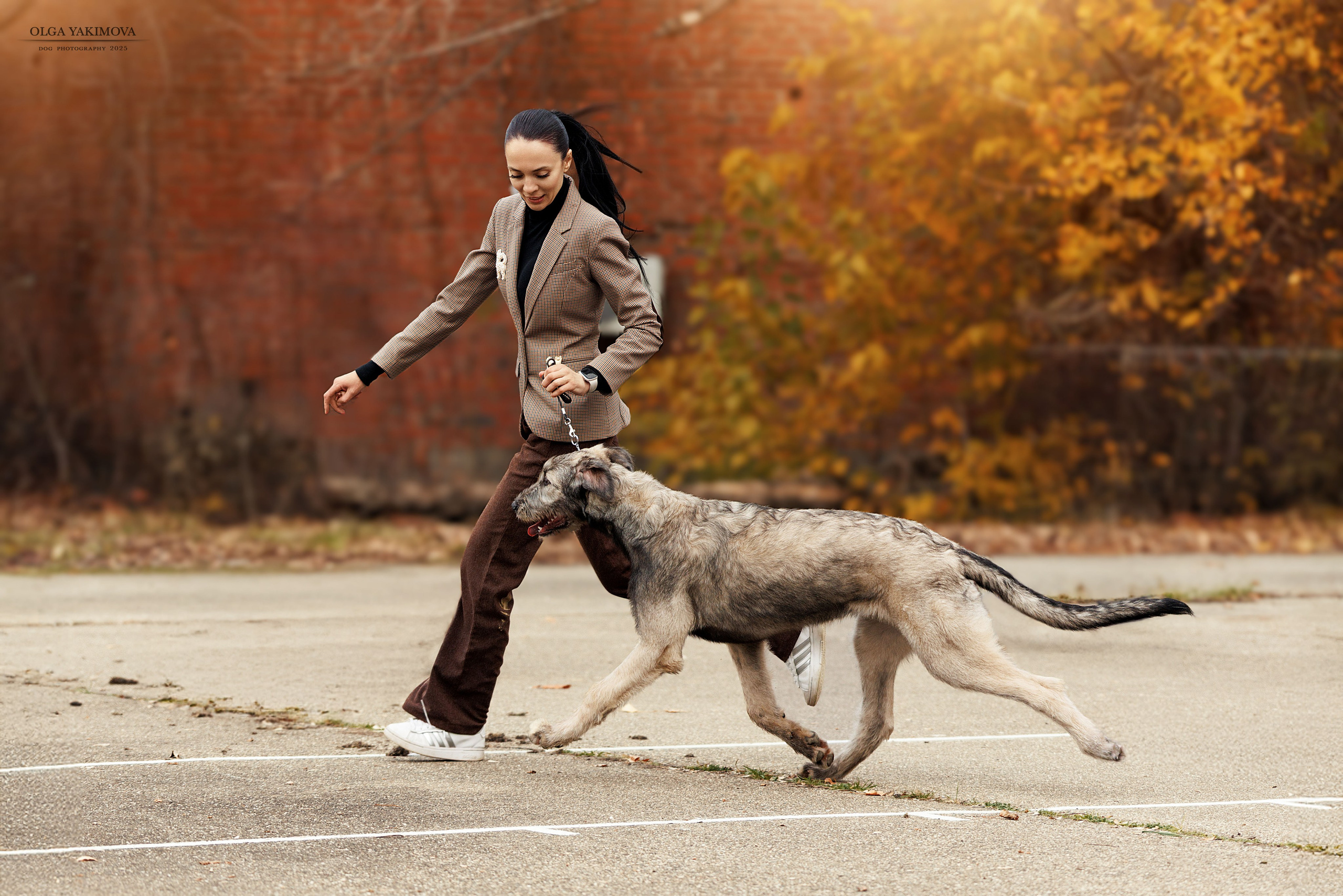 Экстерьер. Фотограф