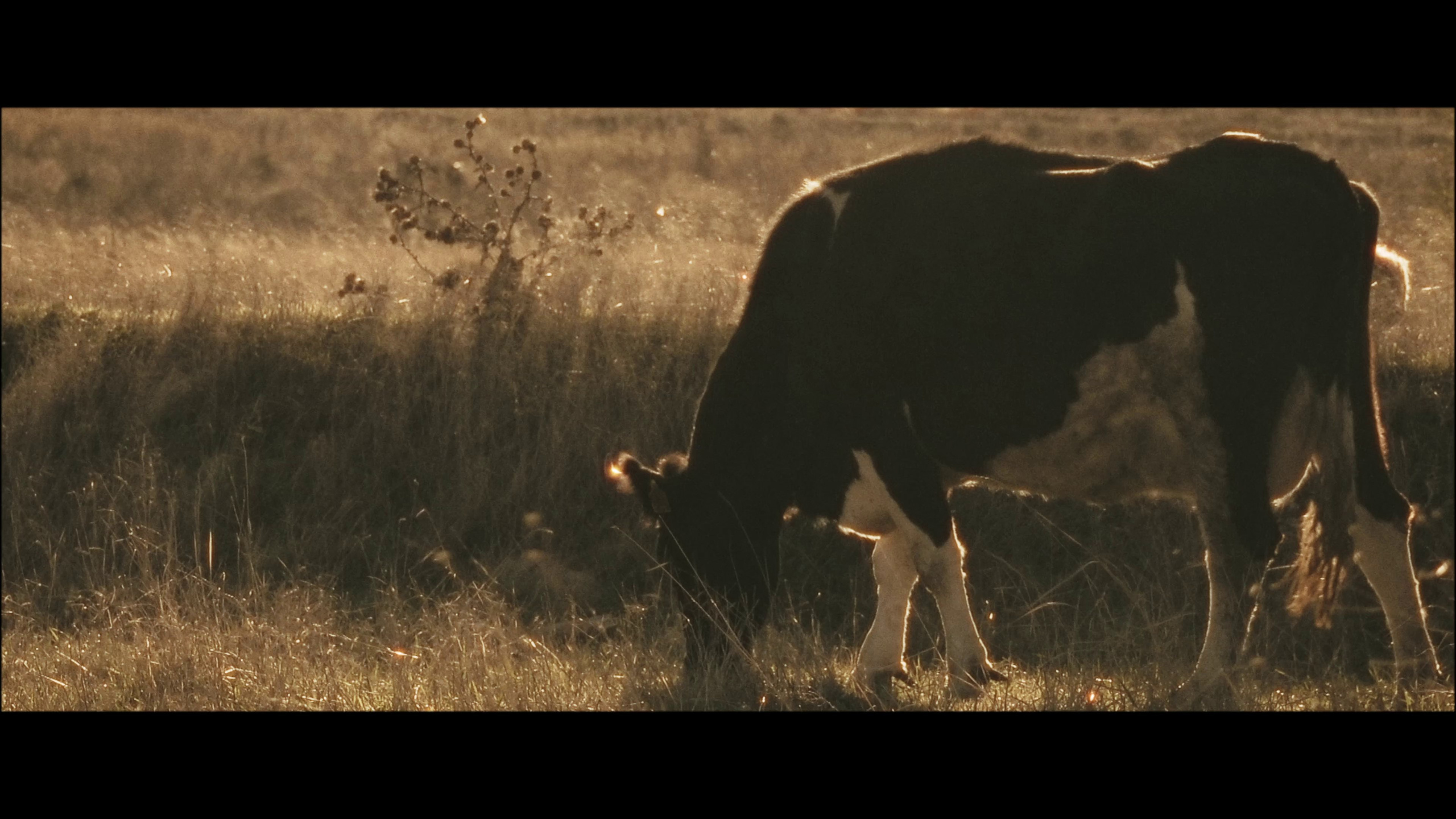 Фото, видео и монтаж Екатеринбург Ольга Петрунина