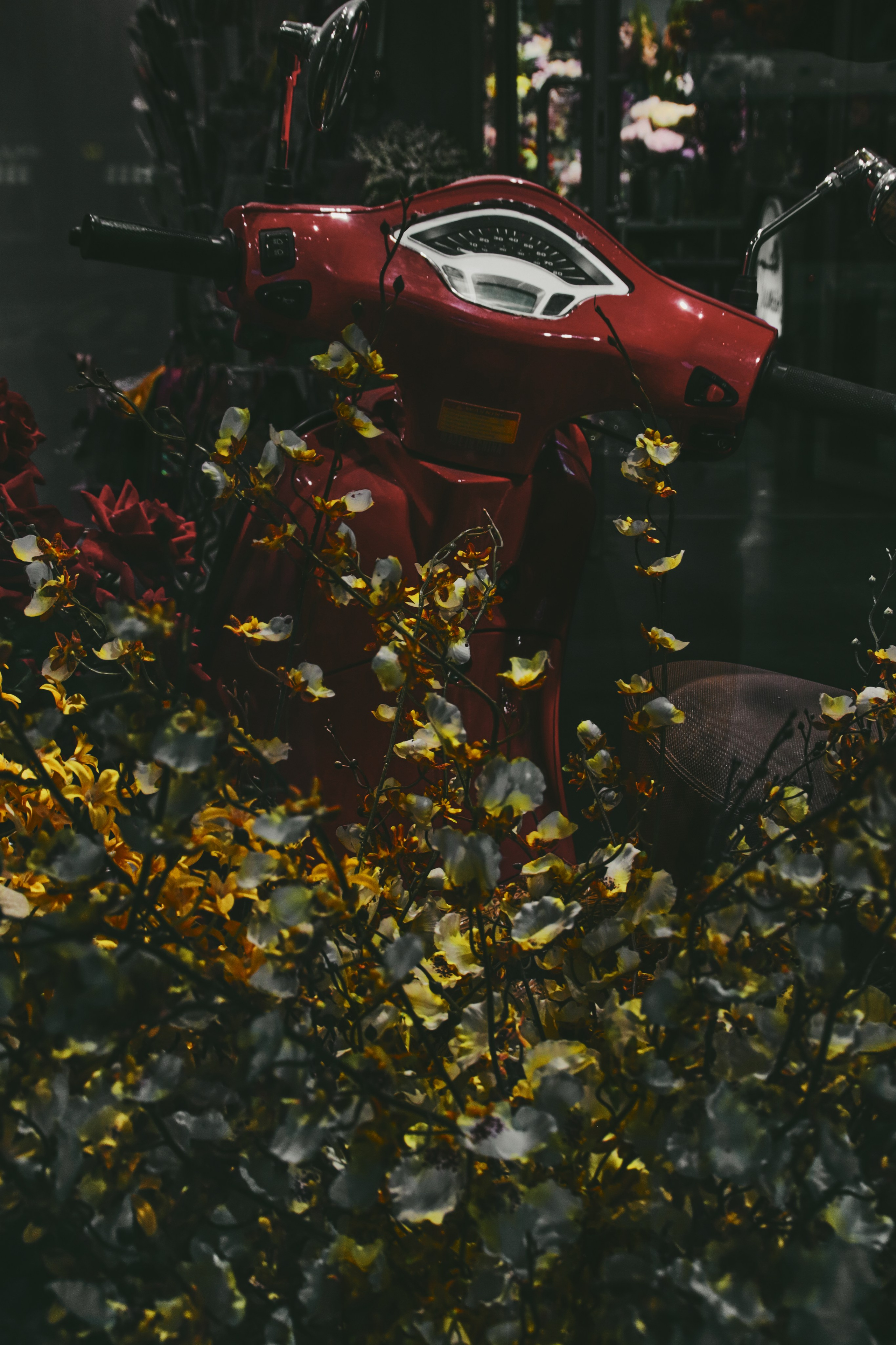 Москва. Фотограф Александр Рауш