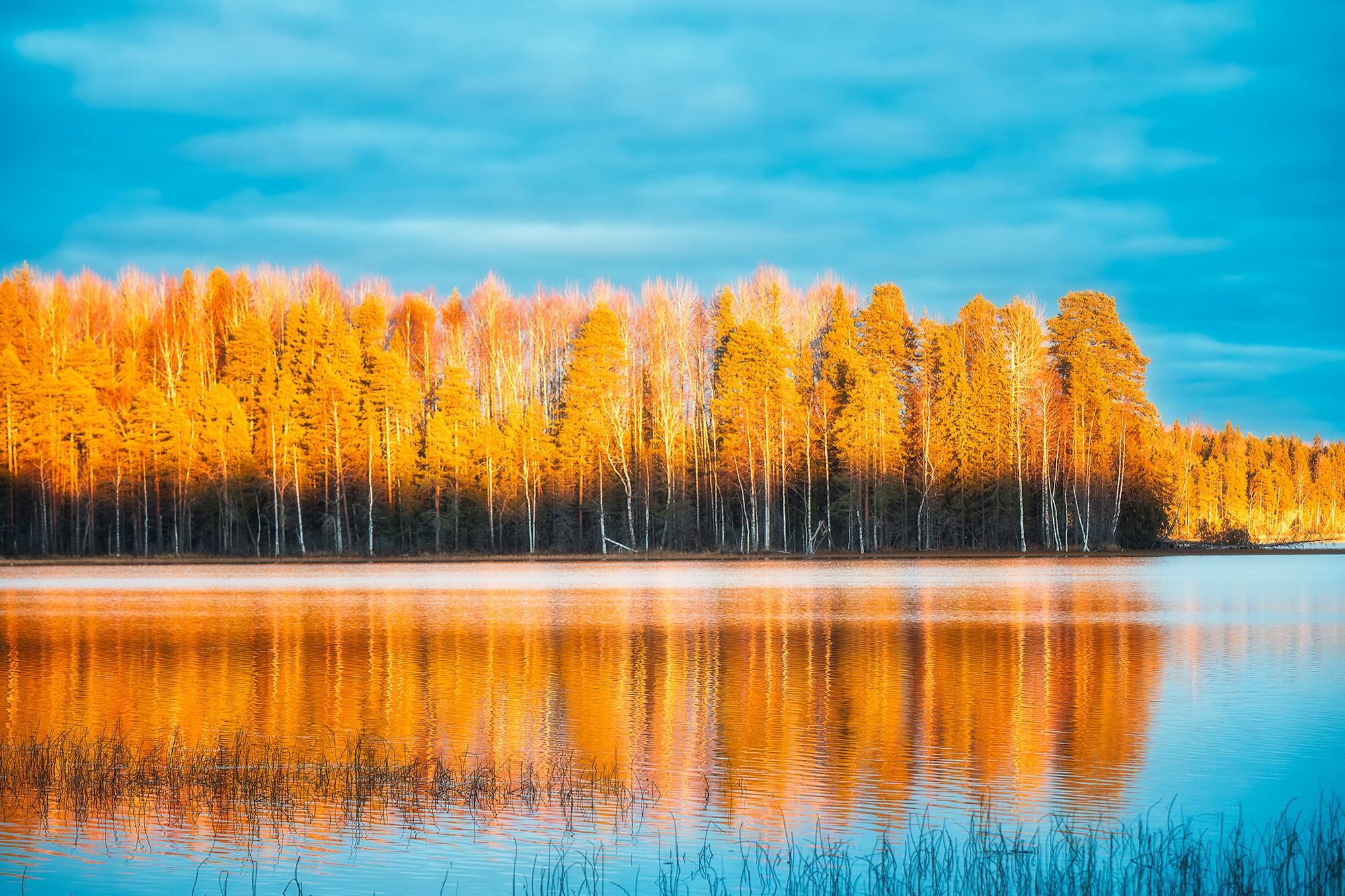 Пейзаж. Аэросъемка в Архангельске, Александр Ермолин