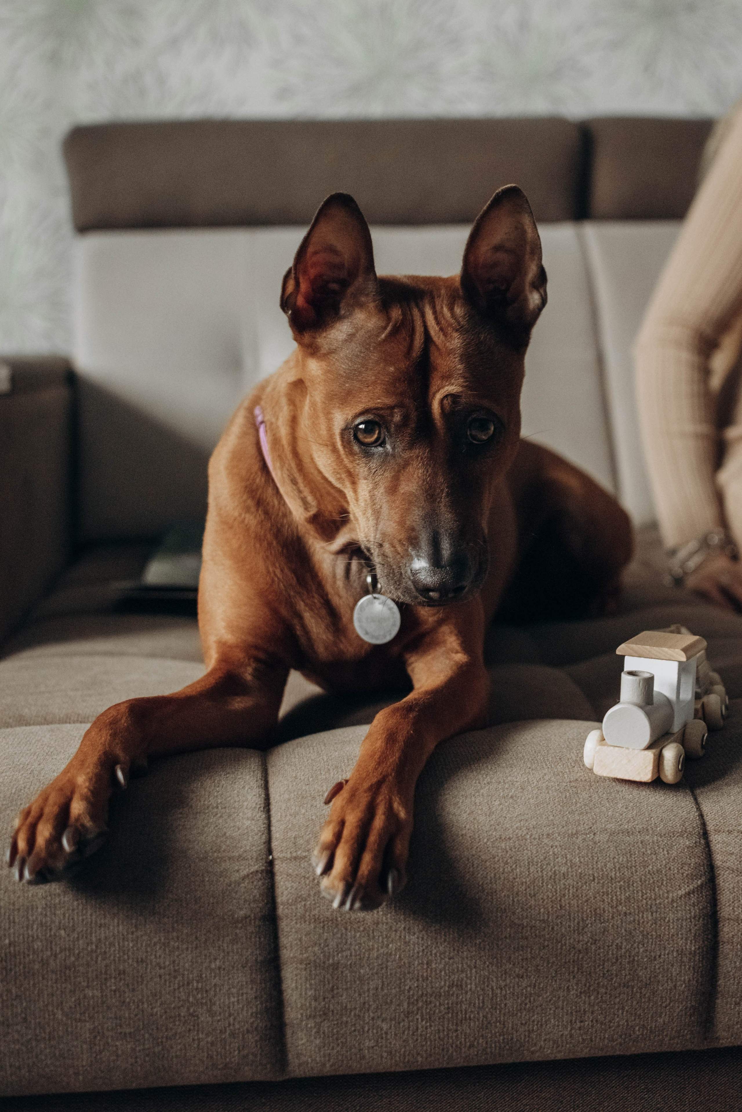 День рождения с лучшим другом. Семейный фотограф в Железнодорожном Масаева Елена