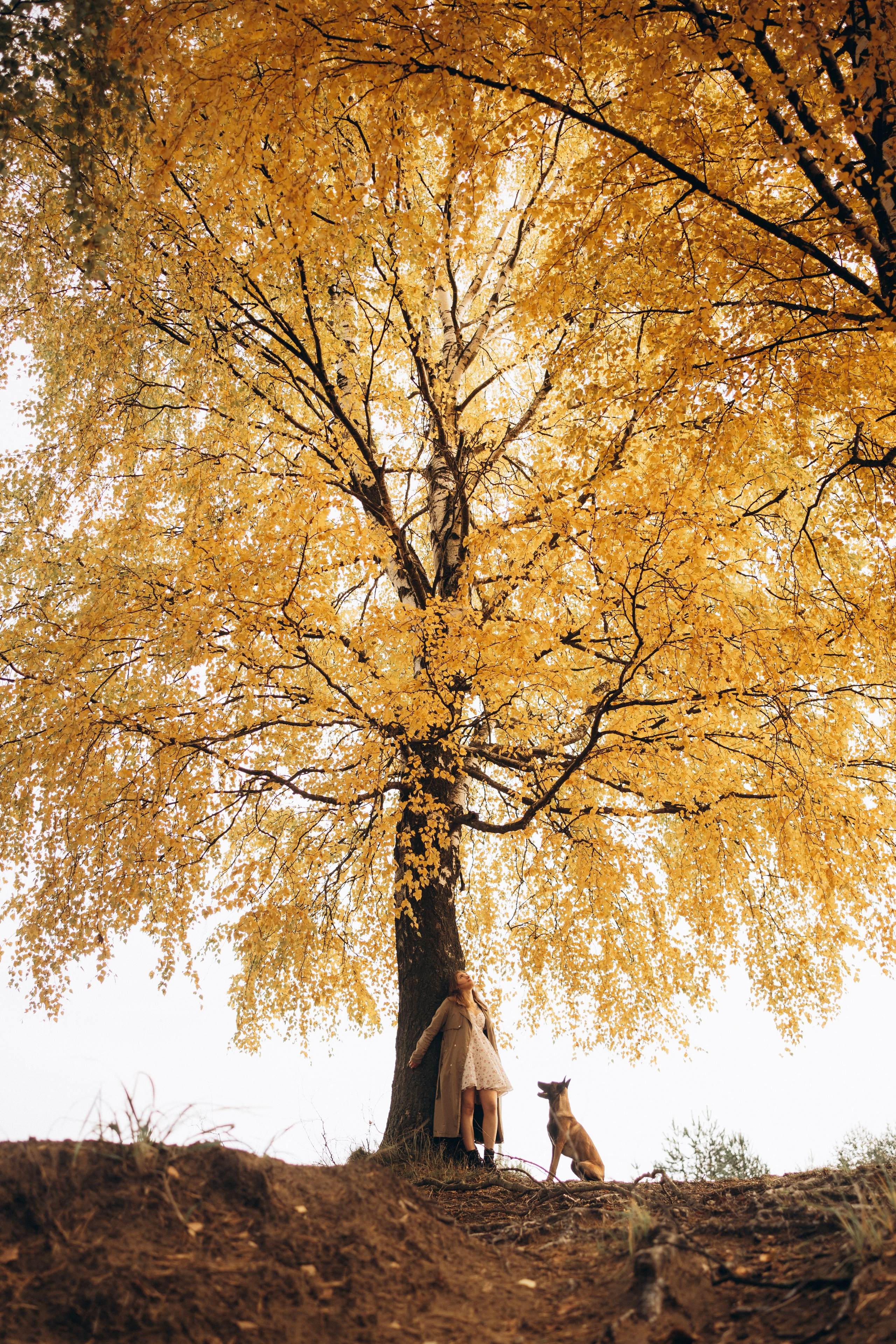 Вика и Хельс. Фотограф-анималист Анастасия Большакова