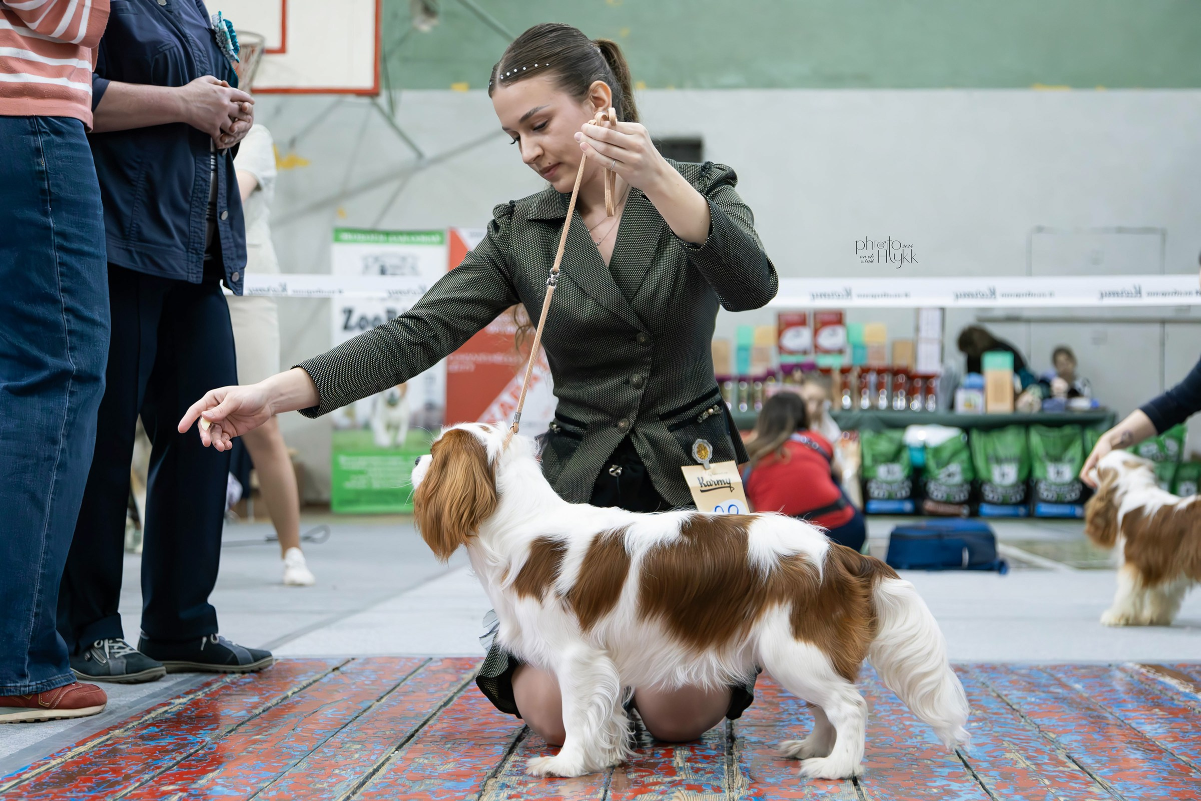 7 апреля 2024, Выставка РКФ, г. Пермь. Htykk_photo