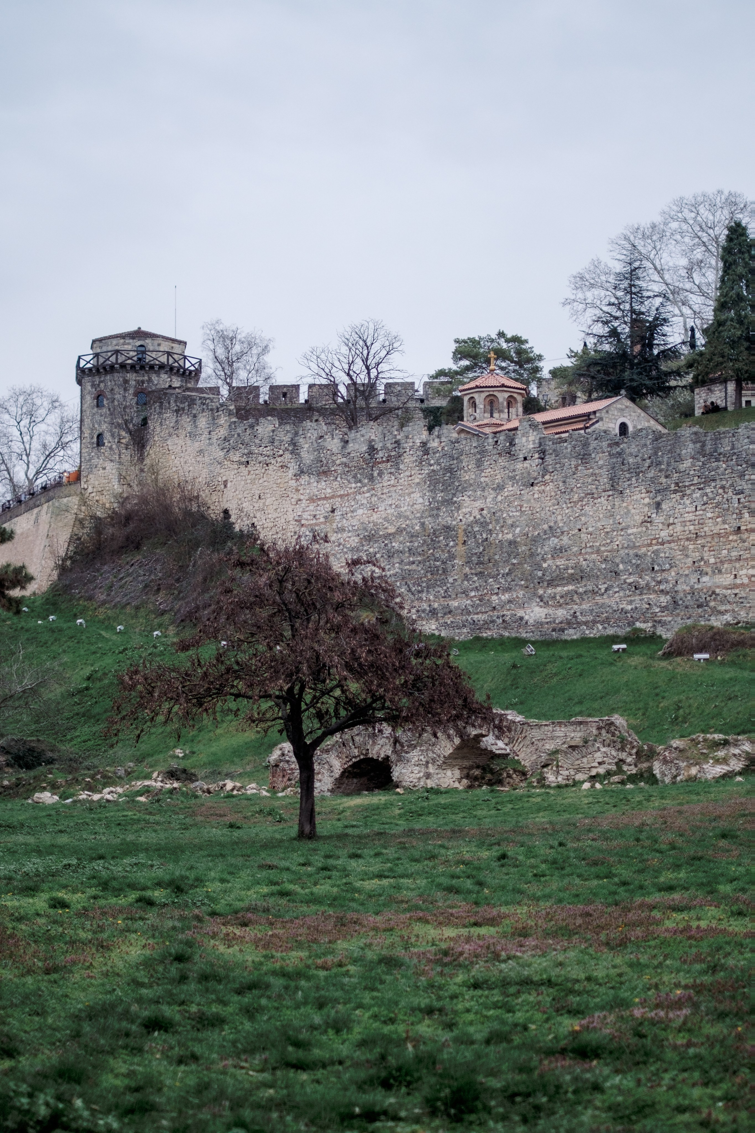 Пикник у Калемегдана. Фотограф в Белграде