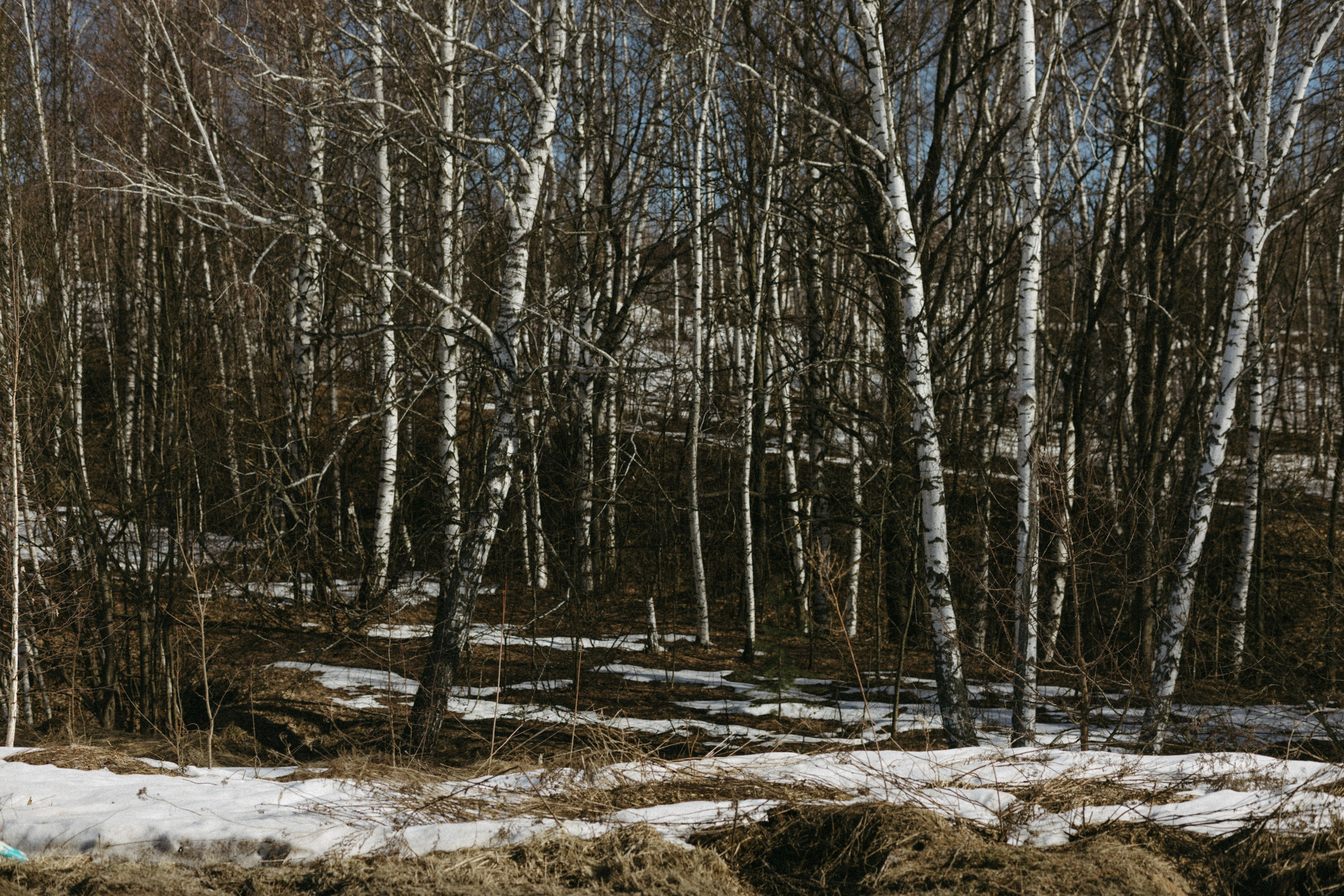 Природа деревни. Фотограф Эльмира Лин