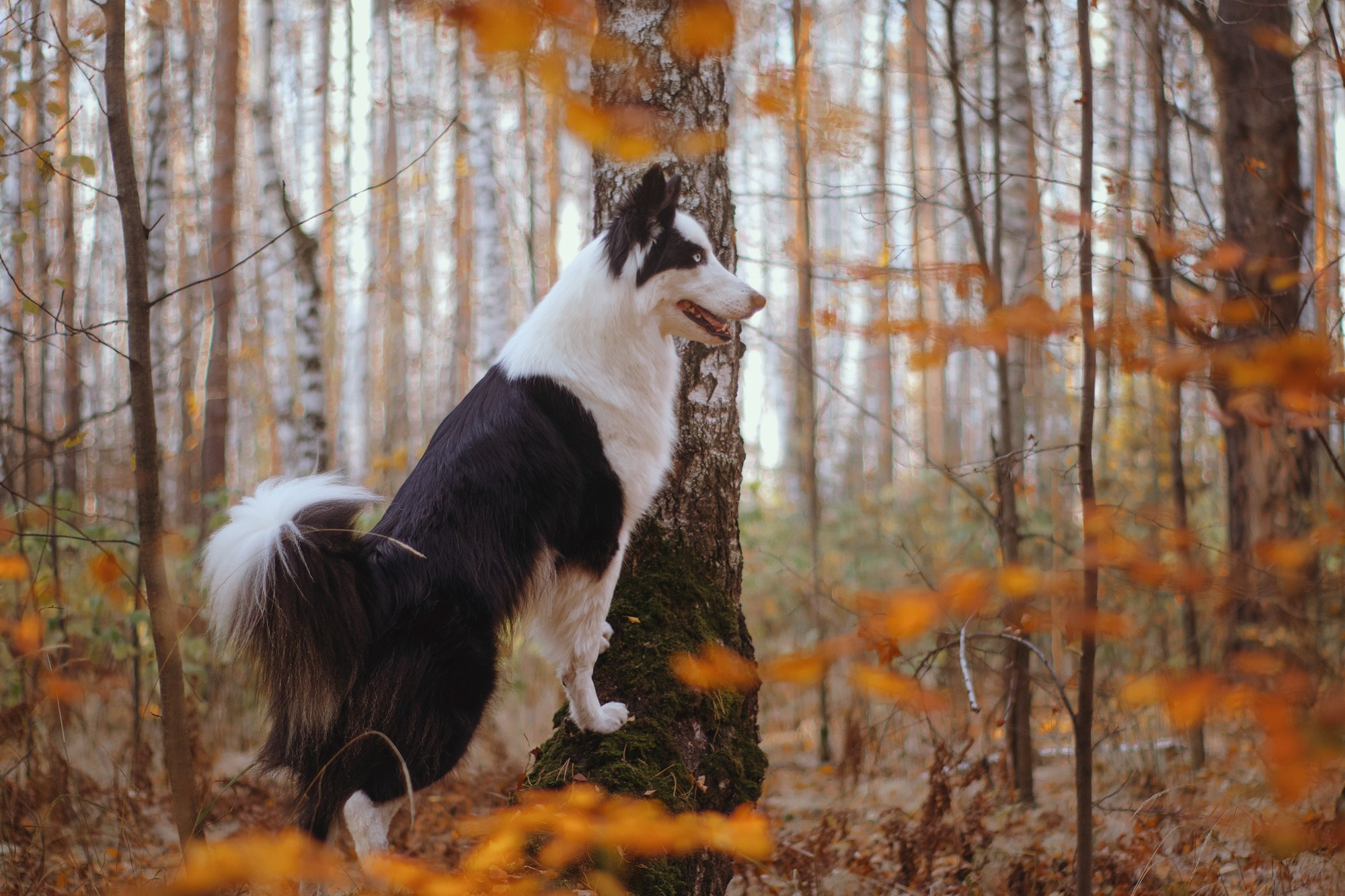 Ликёр. Фотограф в Тюмени Лизавета Сапицкая