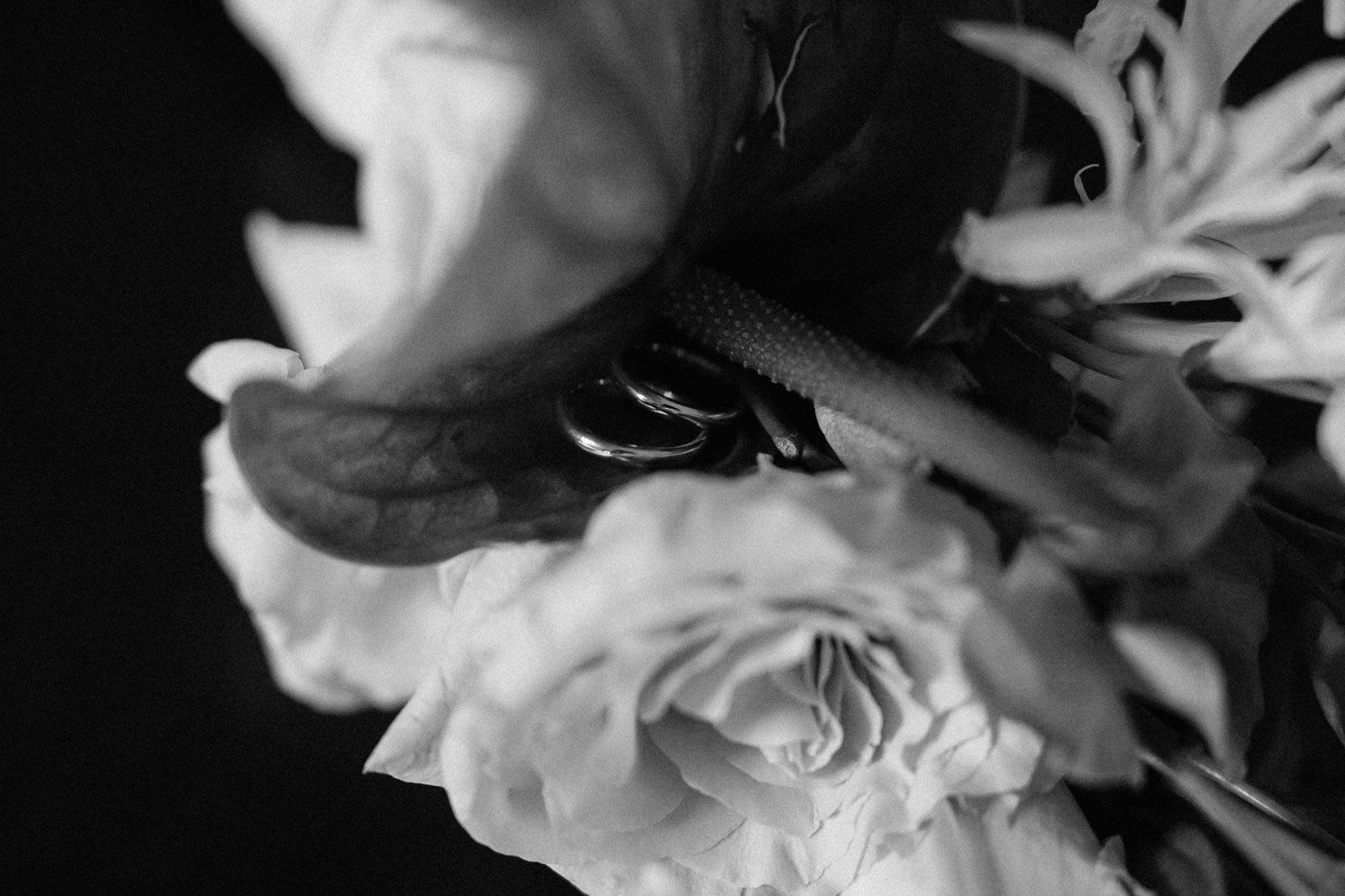 Даня и Полина. Свадебный и семейный фотограф в Москве и Красногорске — живые кадры | Анастасия Тихонова