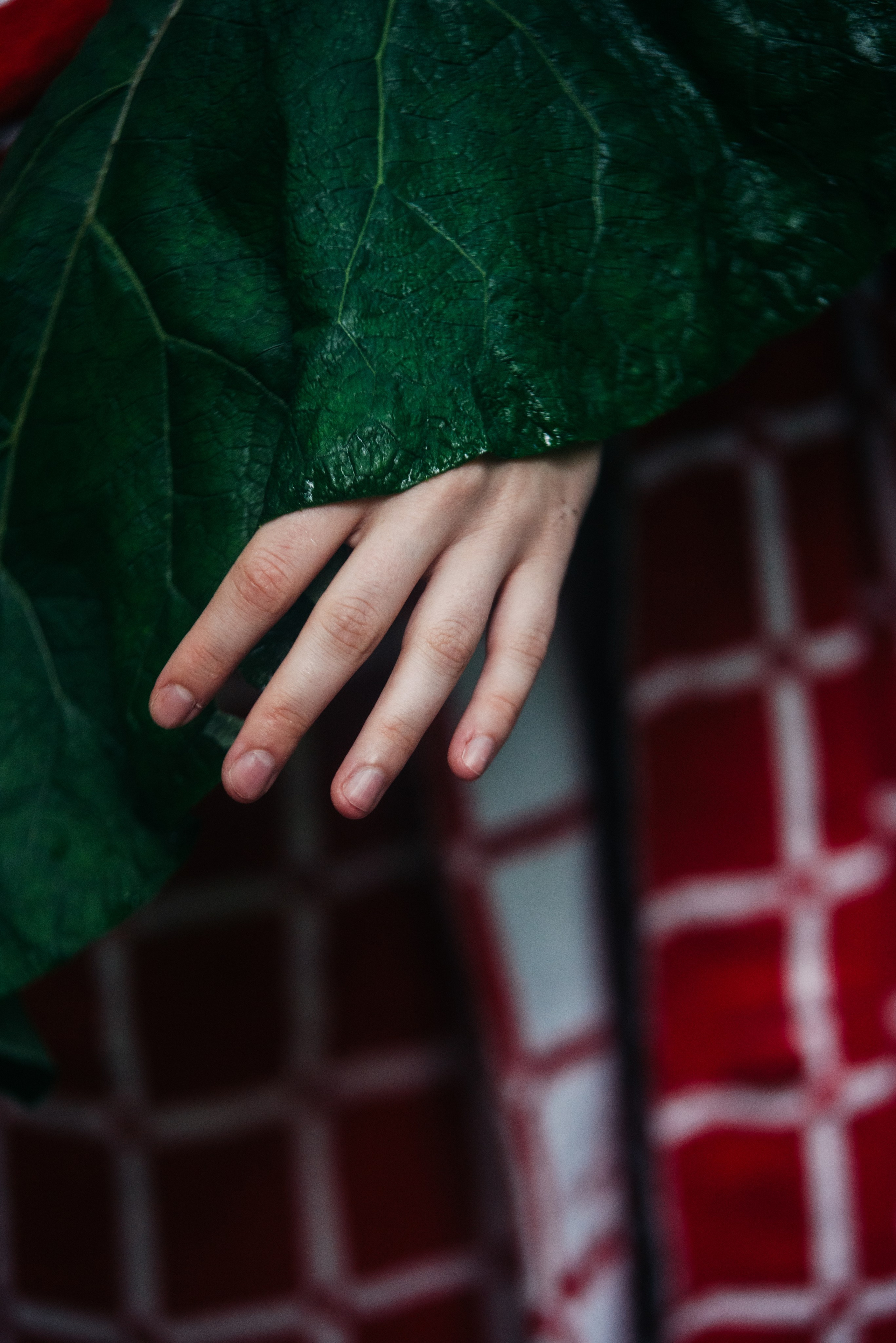 Красное на зелёном. Репортажный и портретный фотограф в Липецкой, Воронежской, Московской области Тёма Белоусов