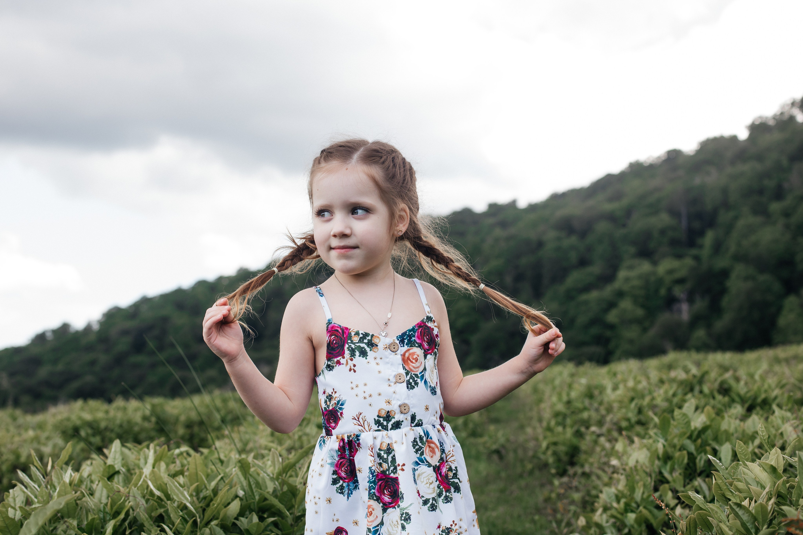 Tea plantation. Efimova Model Agency