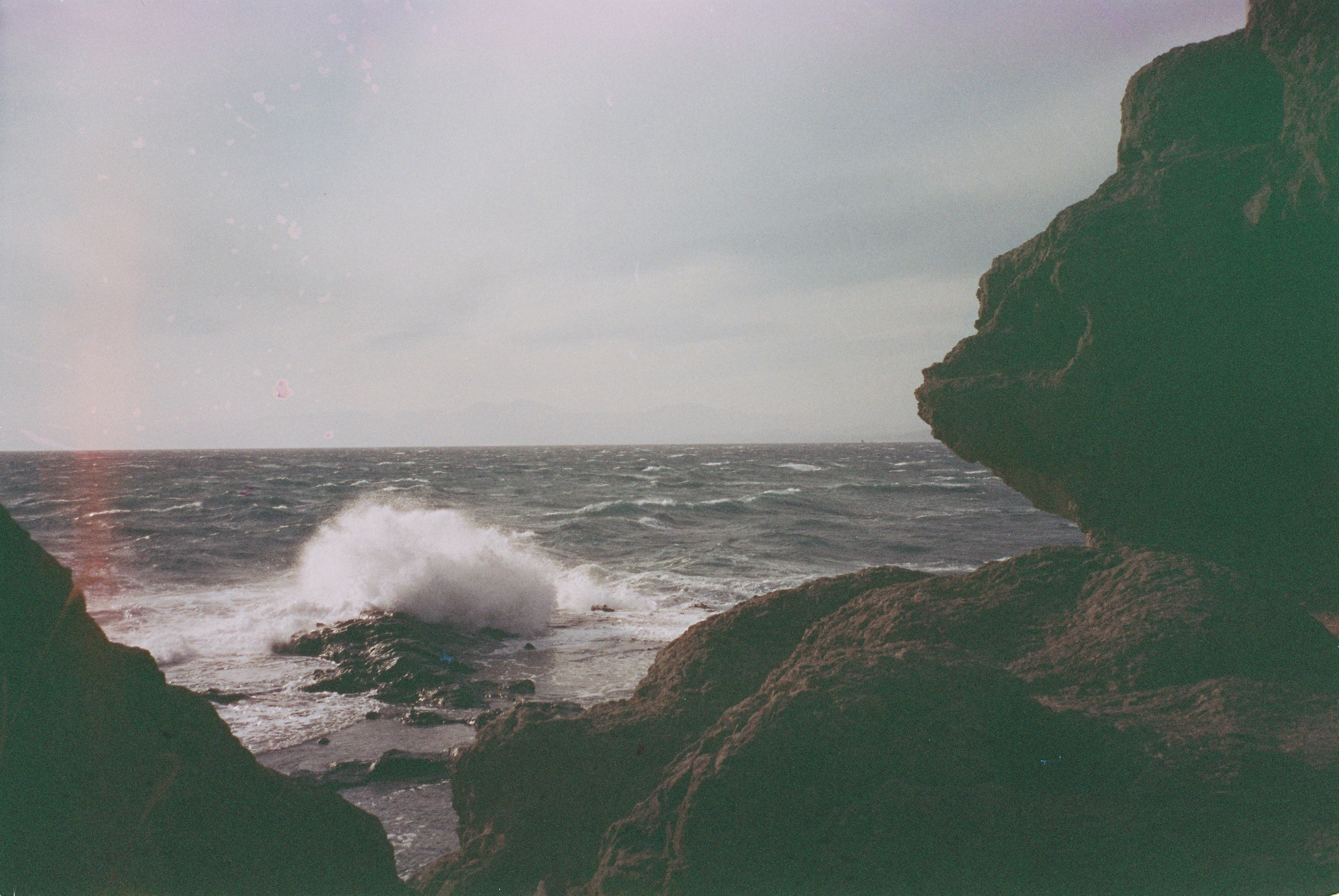 Пленка. Фотограф Алина Диева Москва | Токио