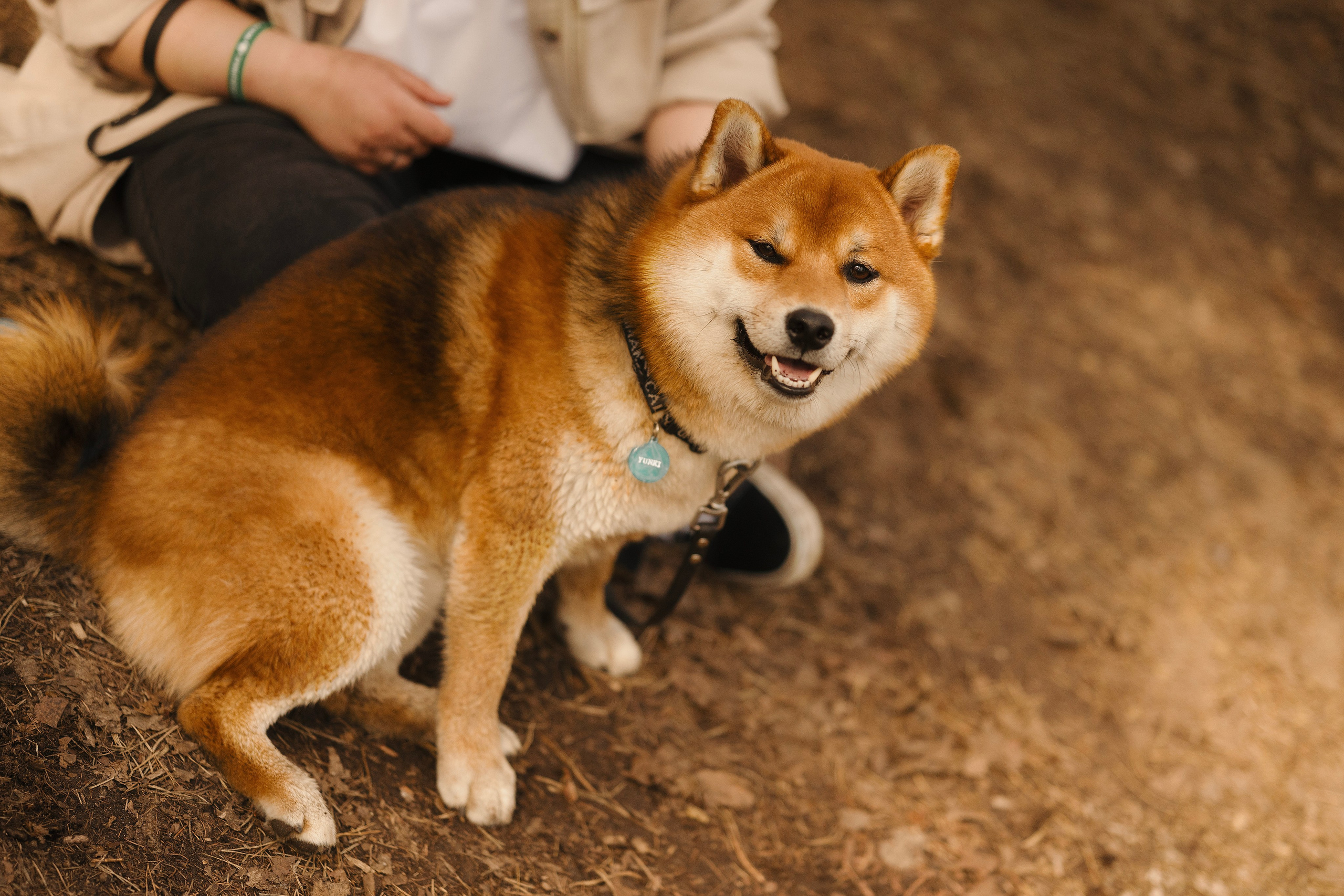 Юнки. Фотограф- анималист Александра Матвеева