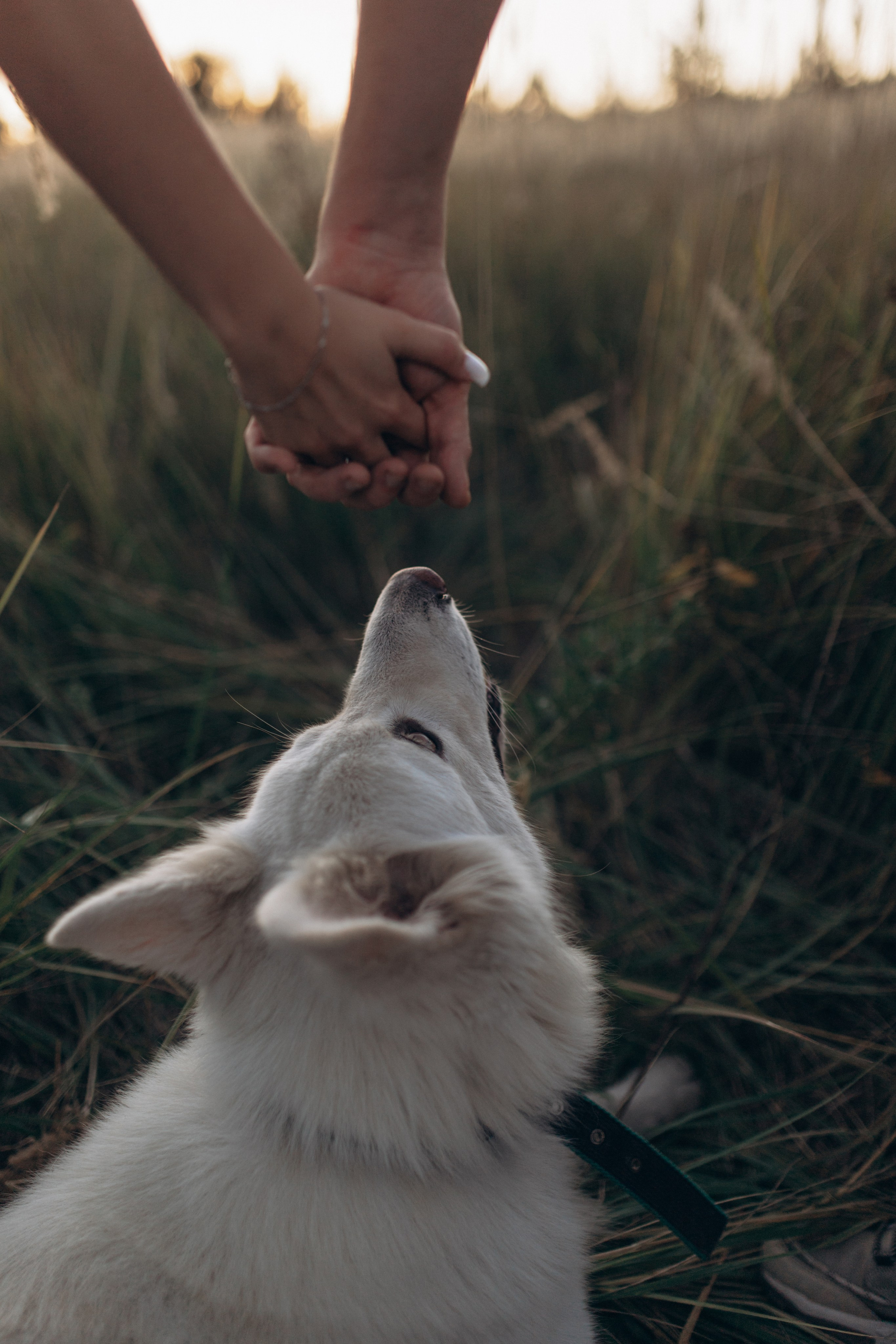 Мы вместе. Главная