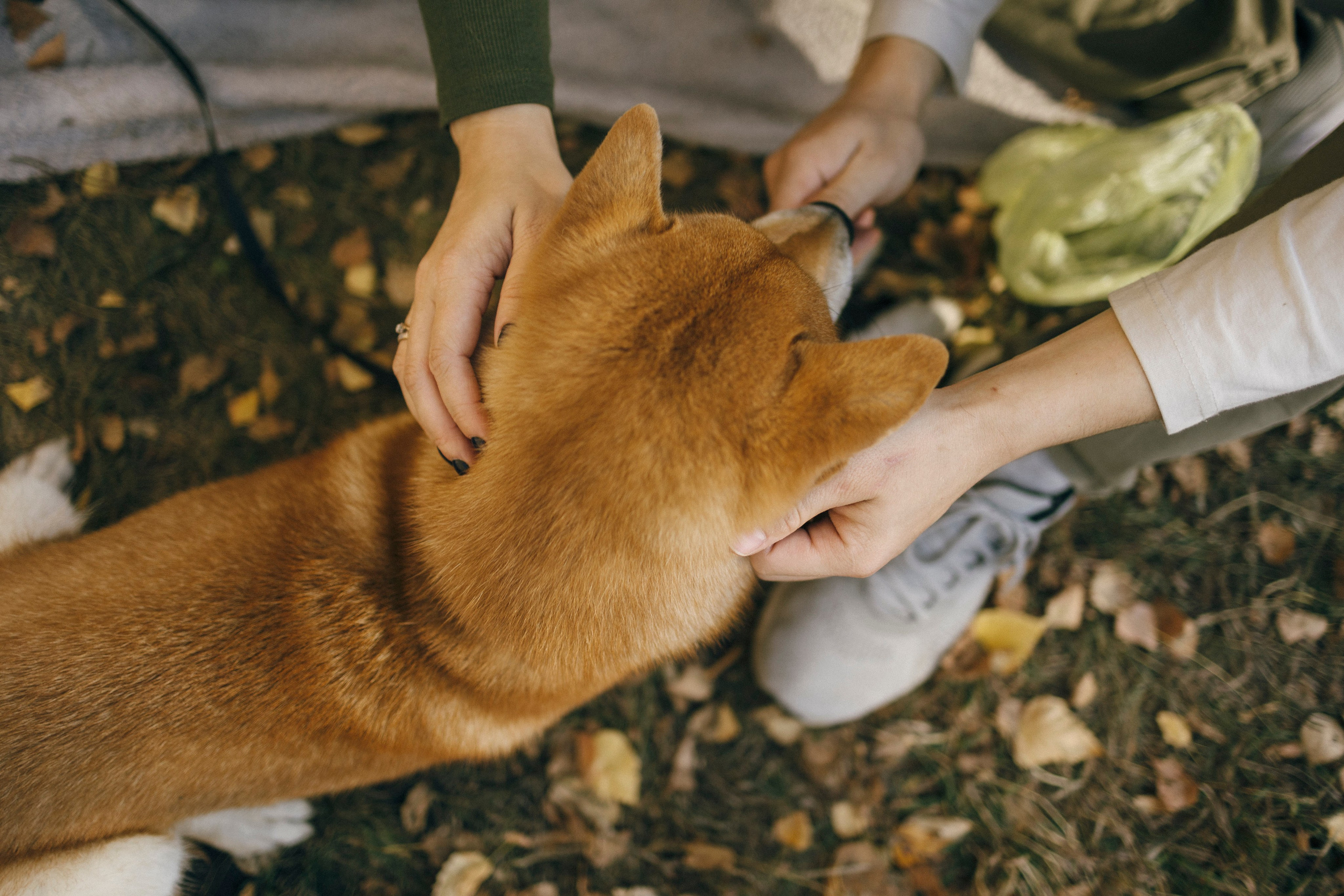Алексей и Анастасия. Свадебный и портретный фотограф Тюмень