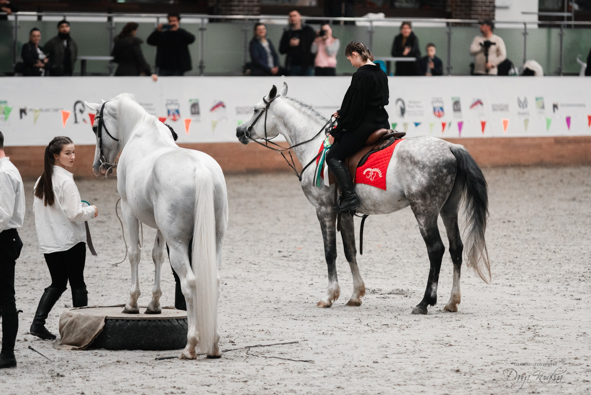 8-я международная выставка Конная Россия. Конный фотограф Куракина Дарья • Фотосессии с лошадьми