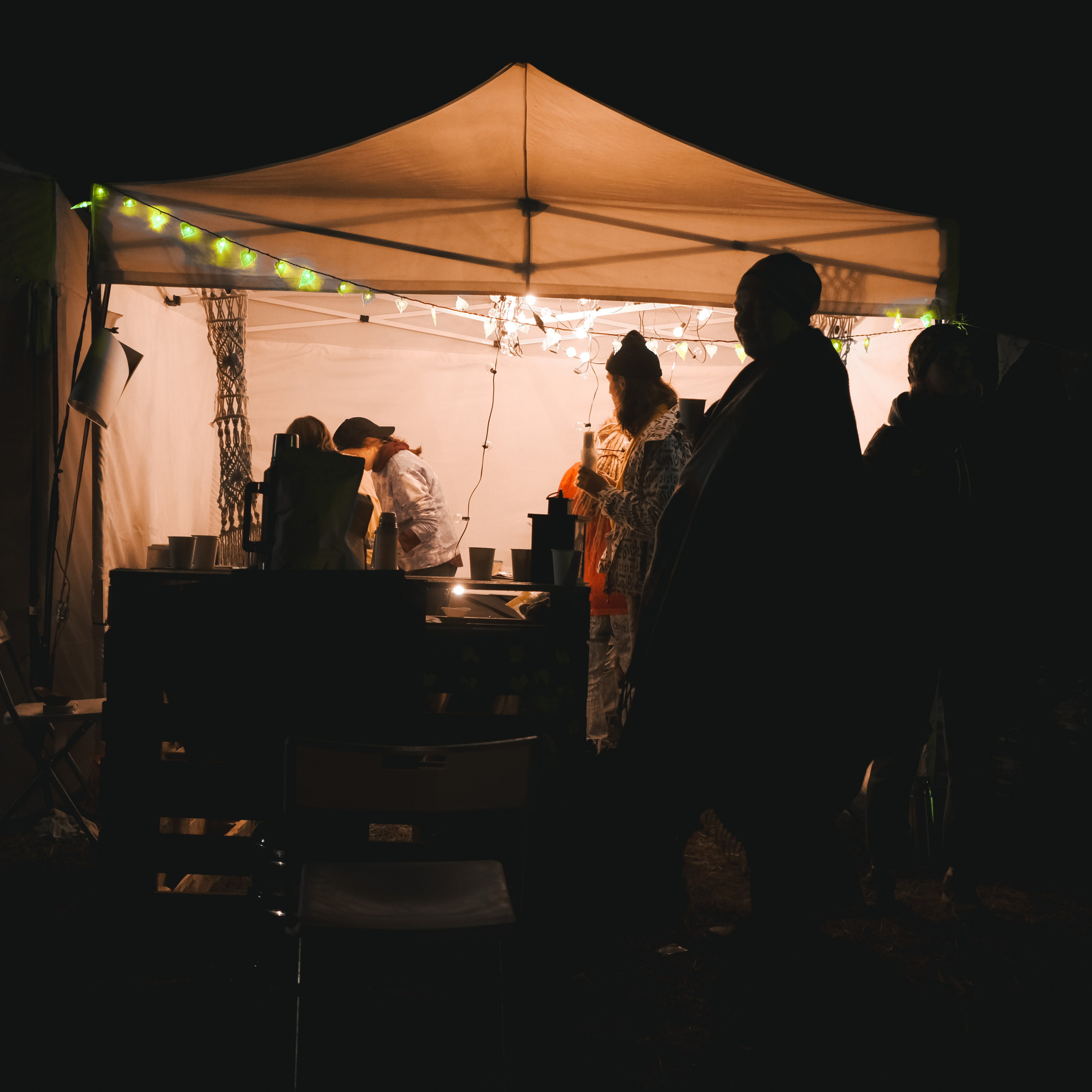 Эко-фестиваль АртЛуга 2022. LIYALEE PHOTO