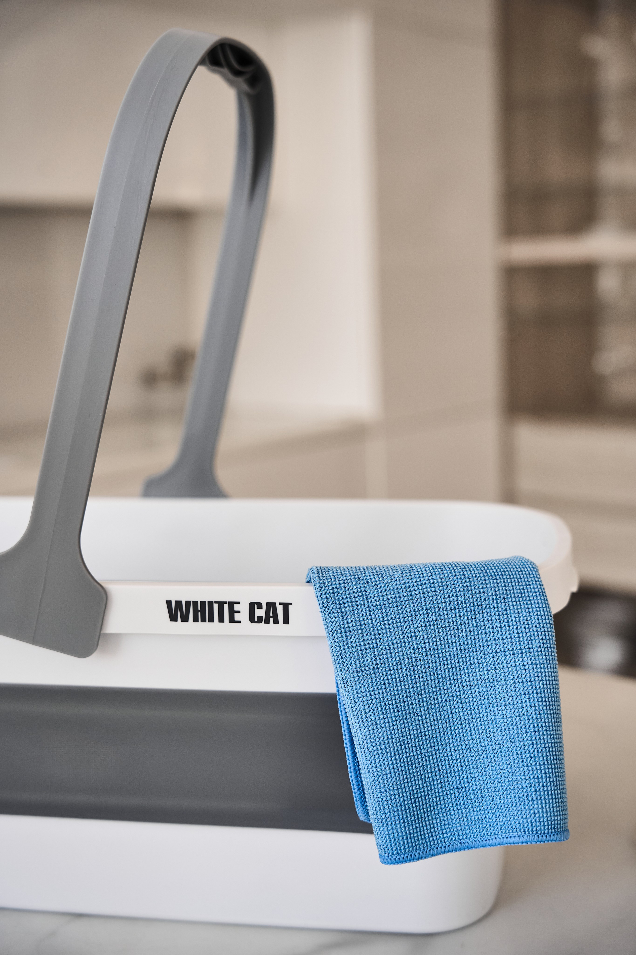 White cat. Фотограф в Москве Казакова Анна