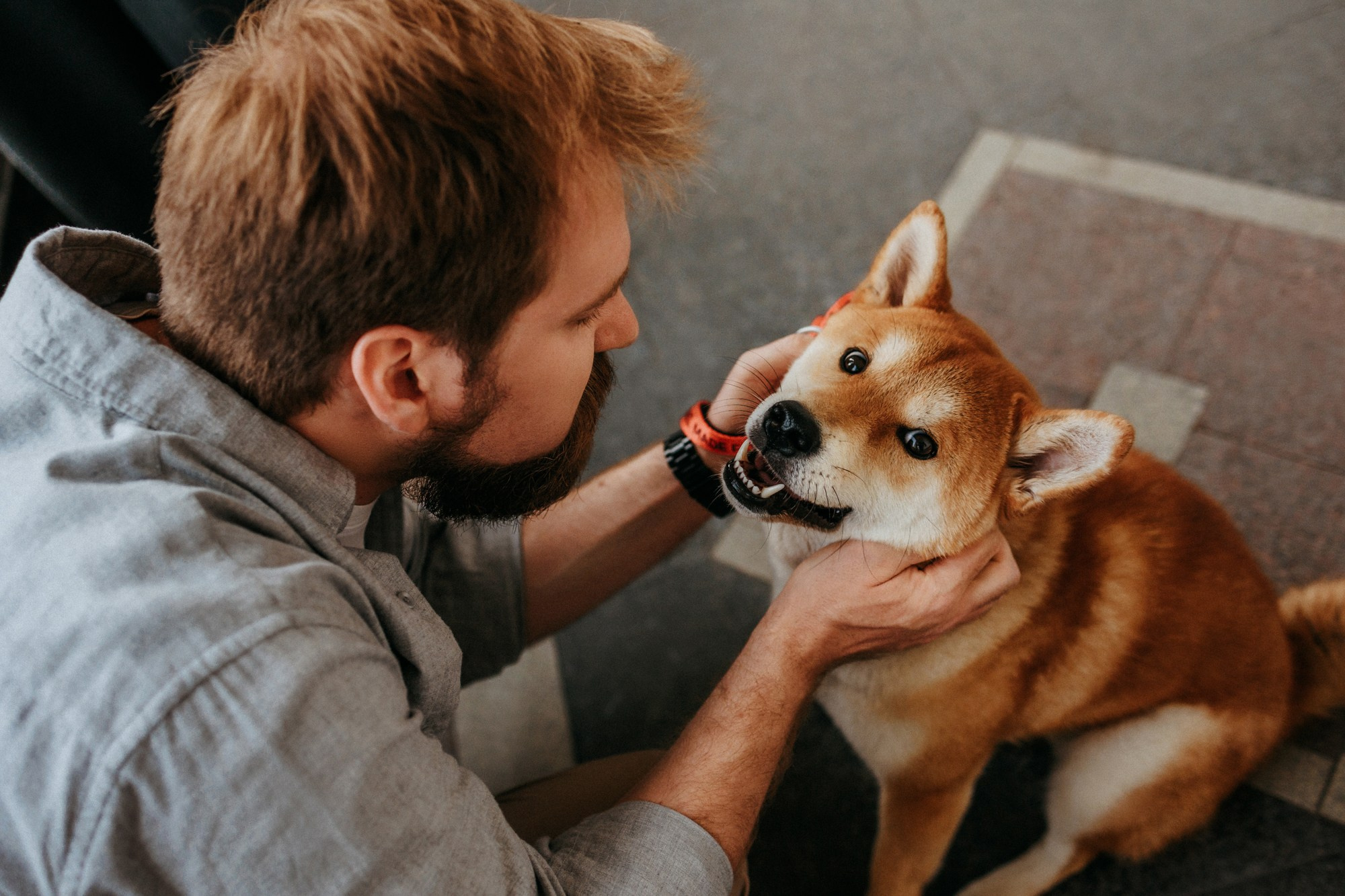 Аня, Влад и Ики. Фотограф-анималист Елена Радченко, Москва