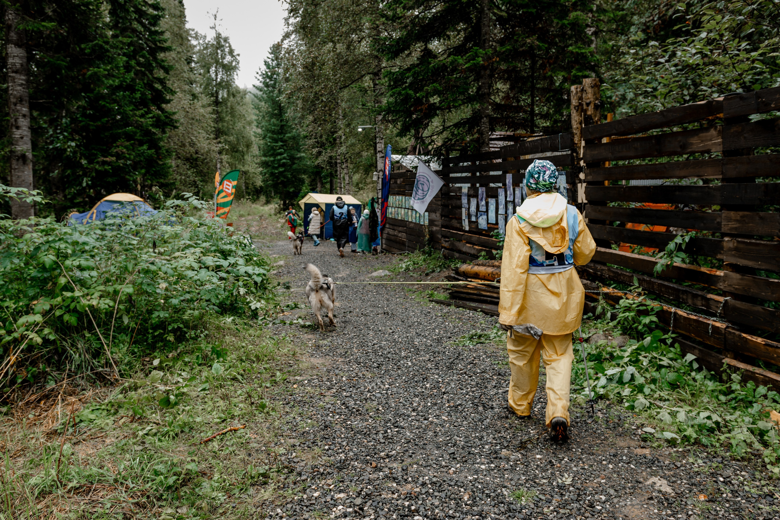 Дог-треккинг