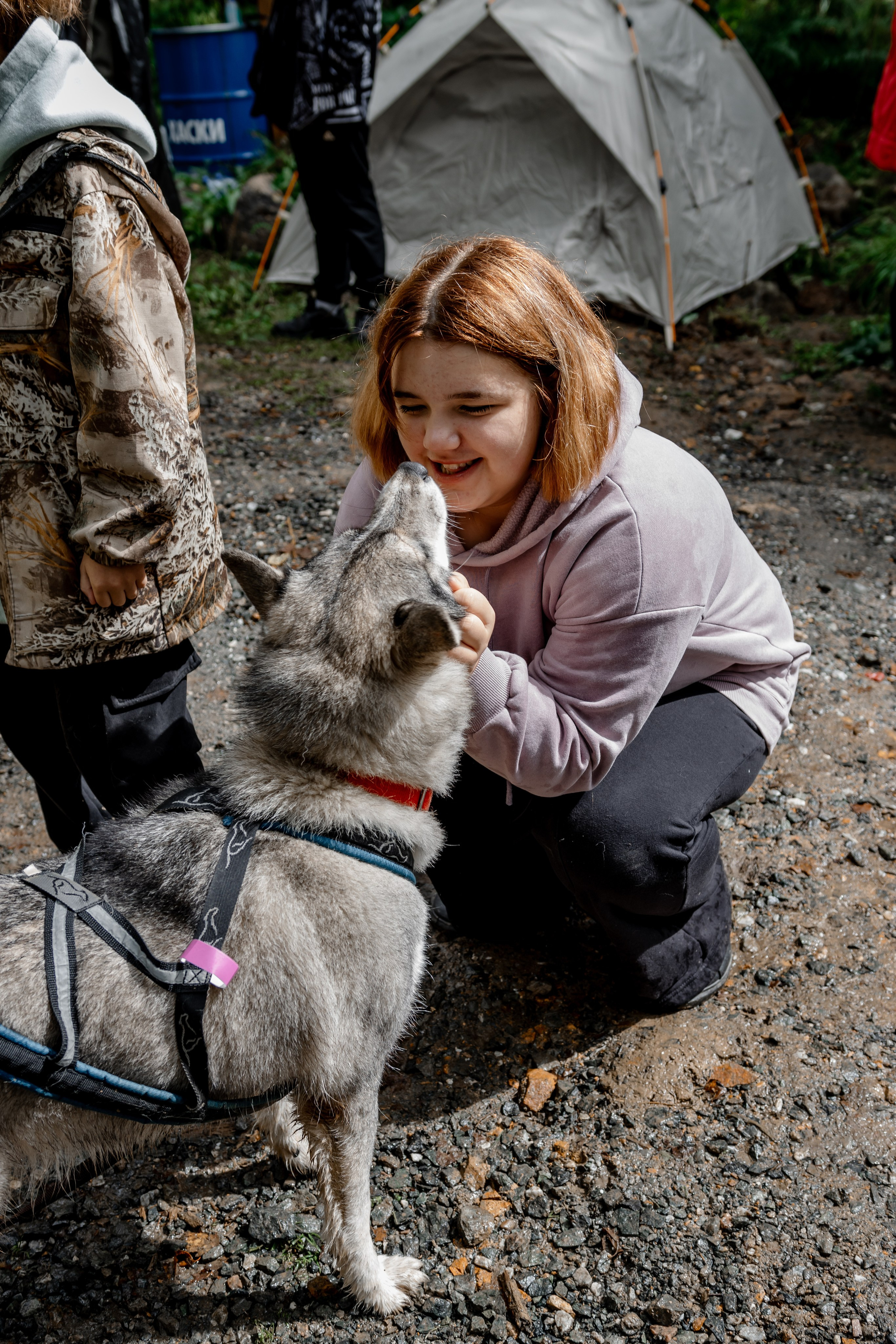 Дог-треккинг