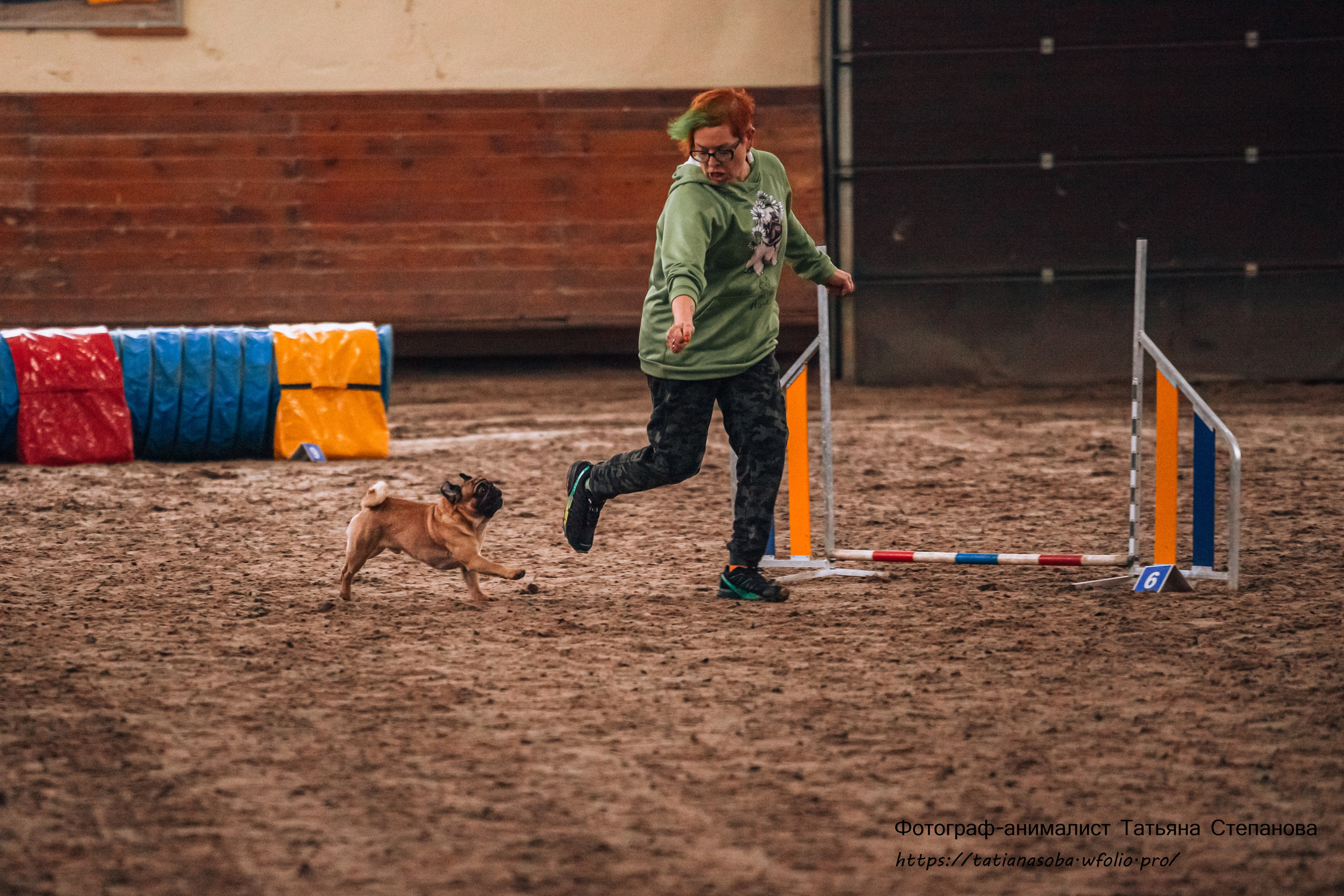 Соревнования по Аджилити 25.02.2024. Фотограф-анималист Татьяна Степанова