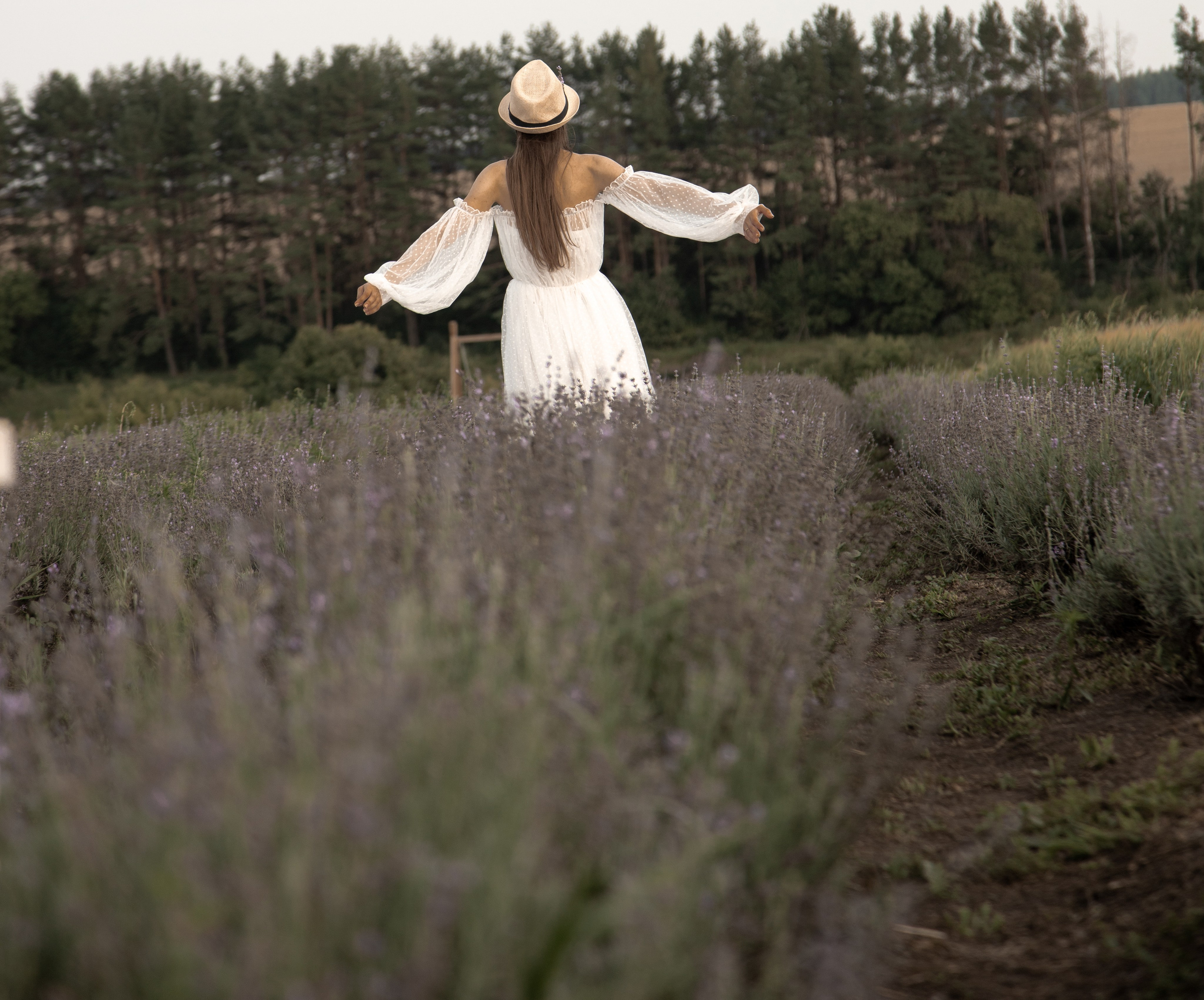 Фотосессия в лавандовых полях