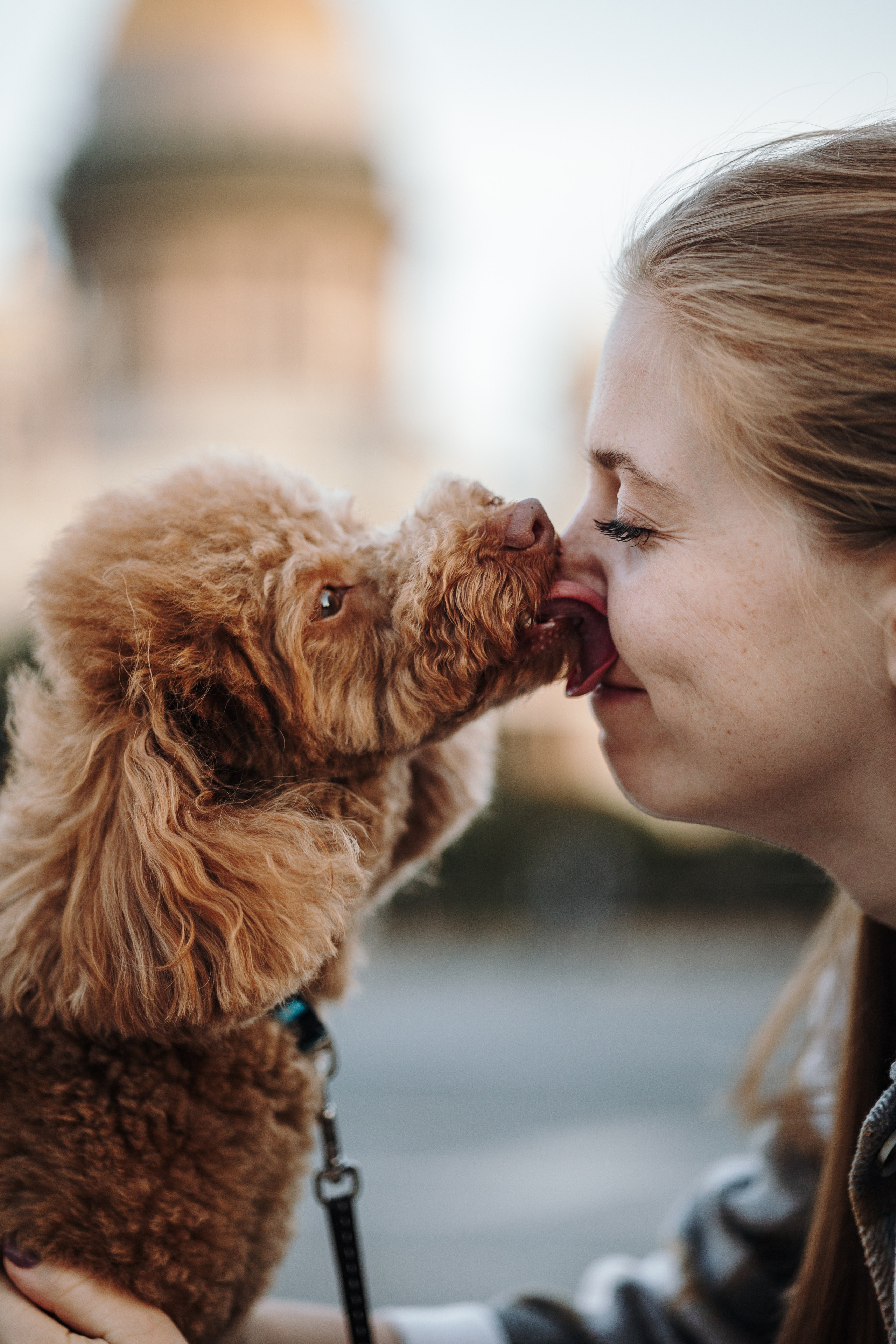 Барни и его семья. Фотограф — Анималист | Санкт-Петербург