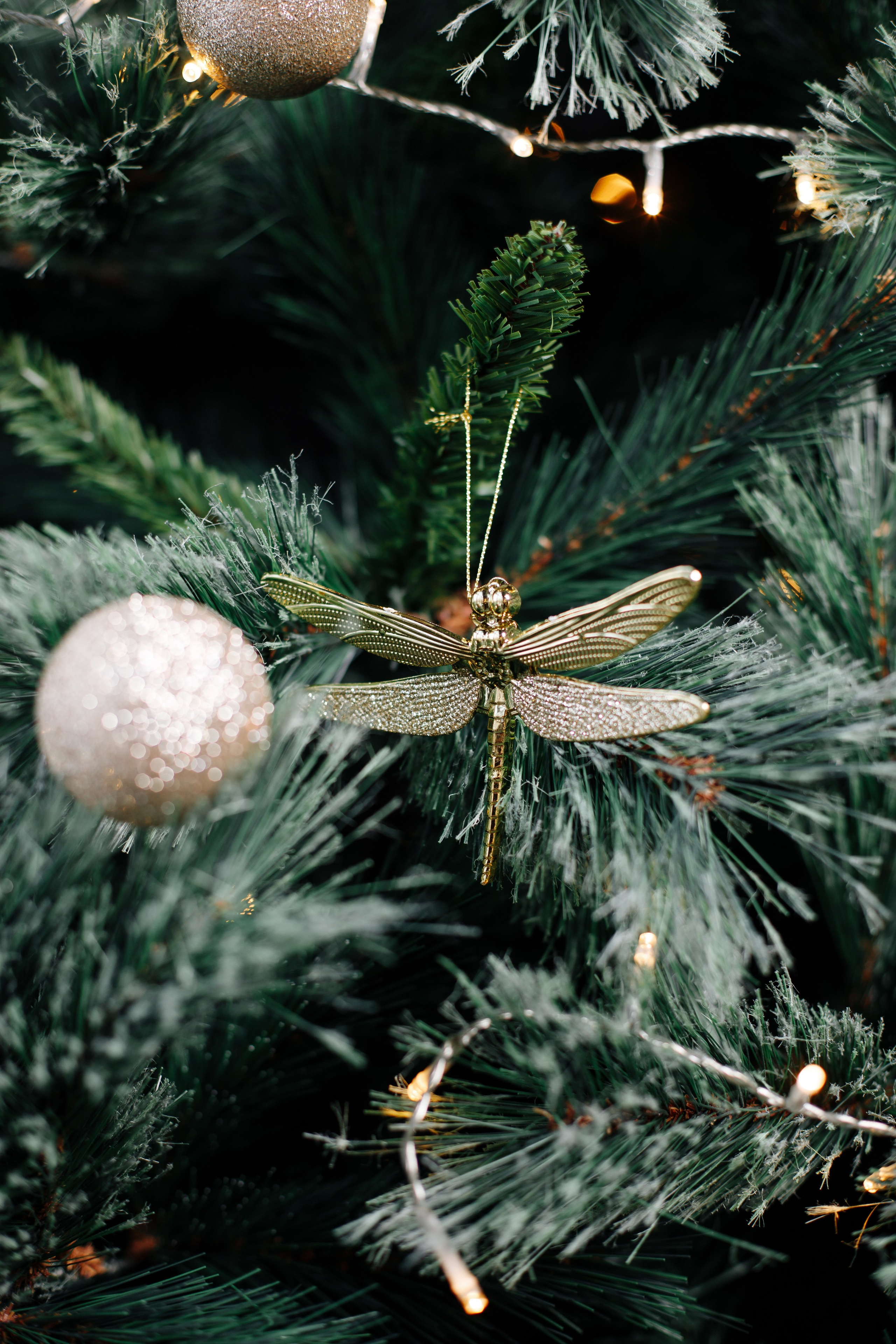 Артём ♥ Алина. Свадебный и семейный фотограф в городе Воронеж. Ирина Боловина