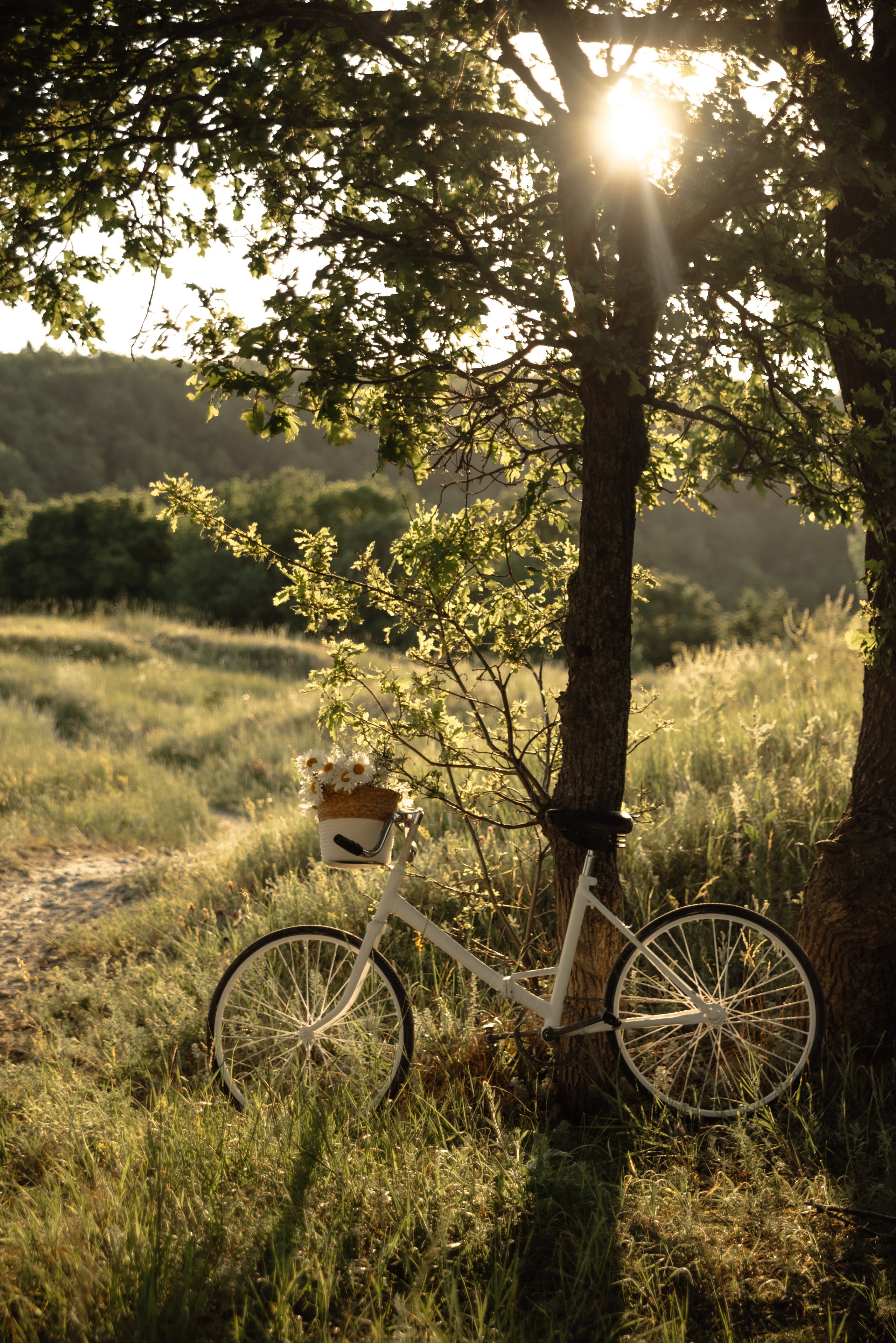 Влад и Анна — прогулка. Фотограф в Саратове и Энгельсе — Склярова Дарья