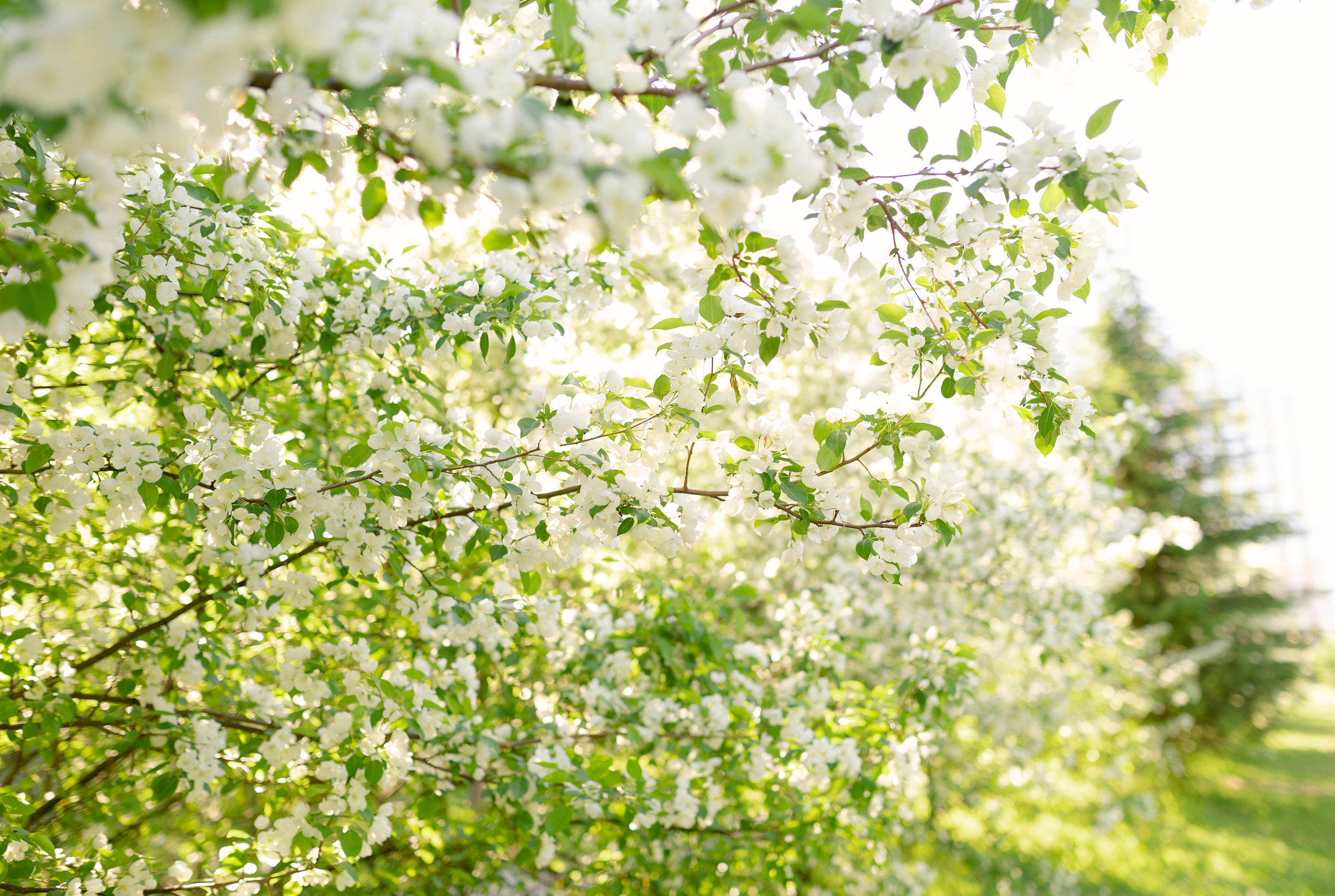 фотограф Сургут и Нефтеюганск