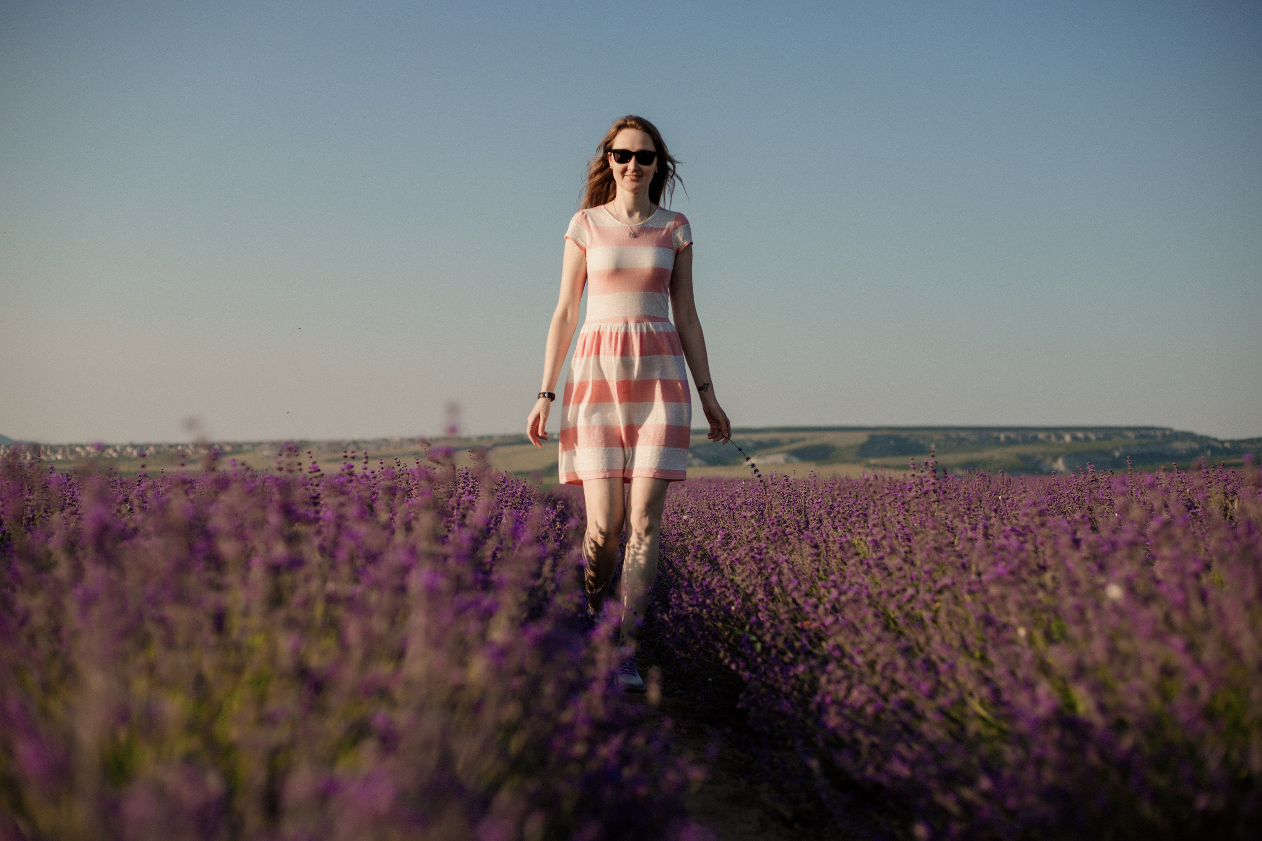 Лаванда. Фотограф и Видеограф Севастополь Крым