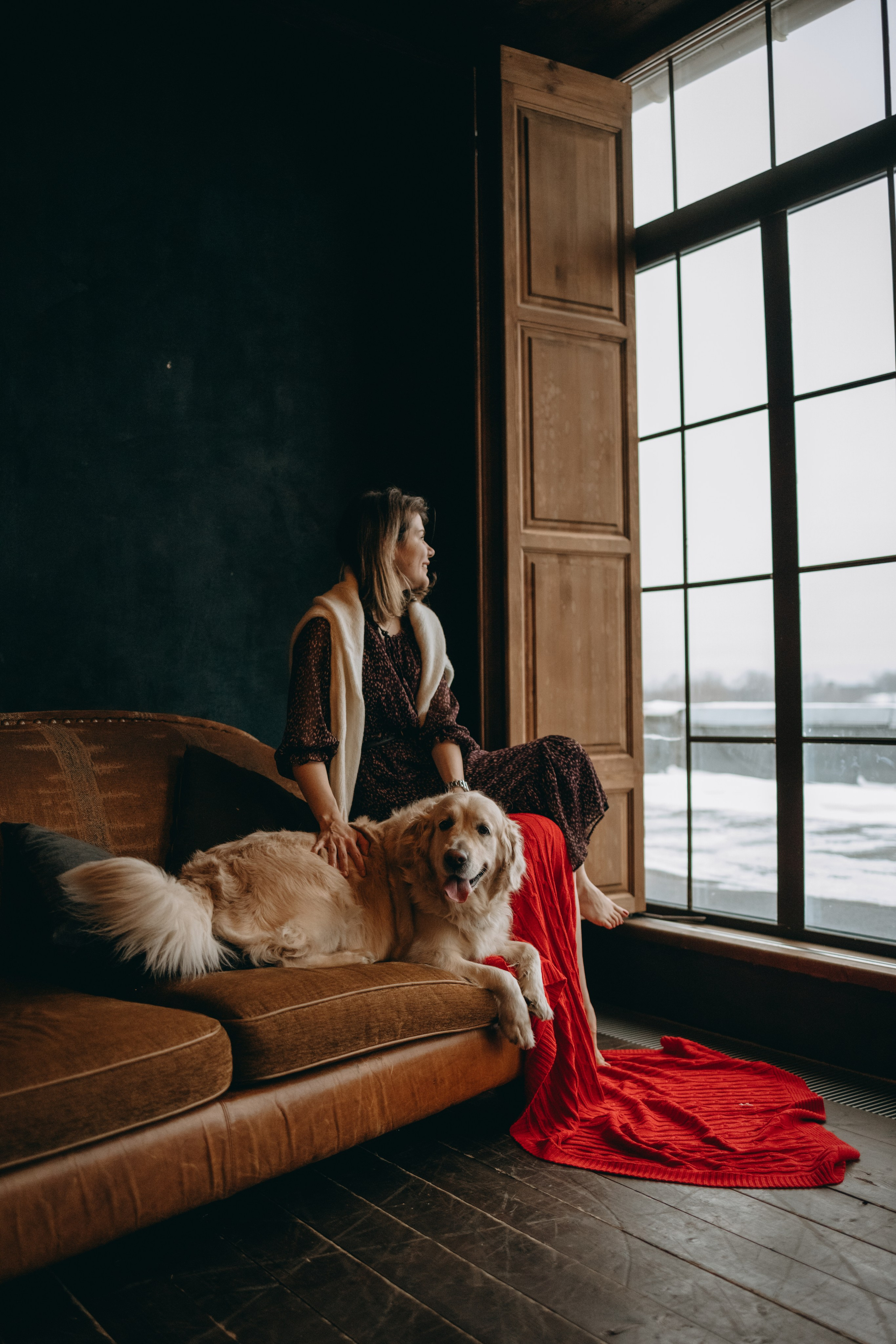 Пресеты. Фотограф — Анималист | Санкт-Петербург