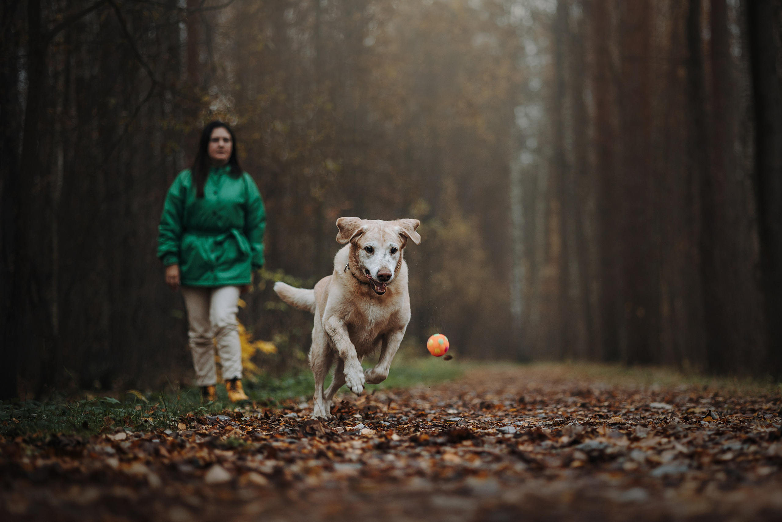 Оксана и Барон. Фотограф — Анималист | Санкт-Петербург