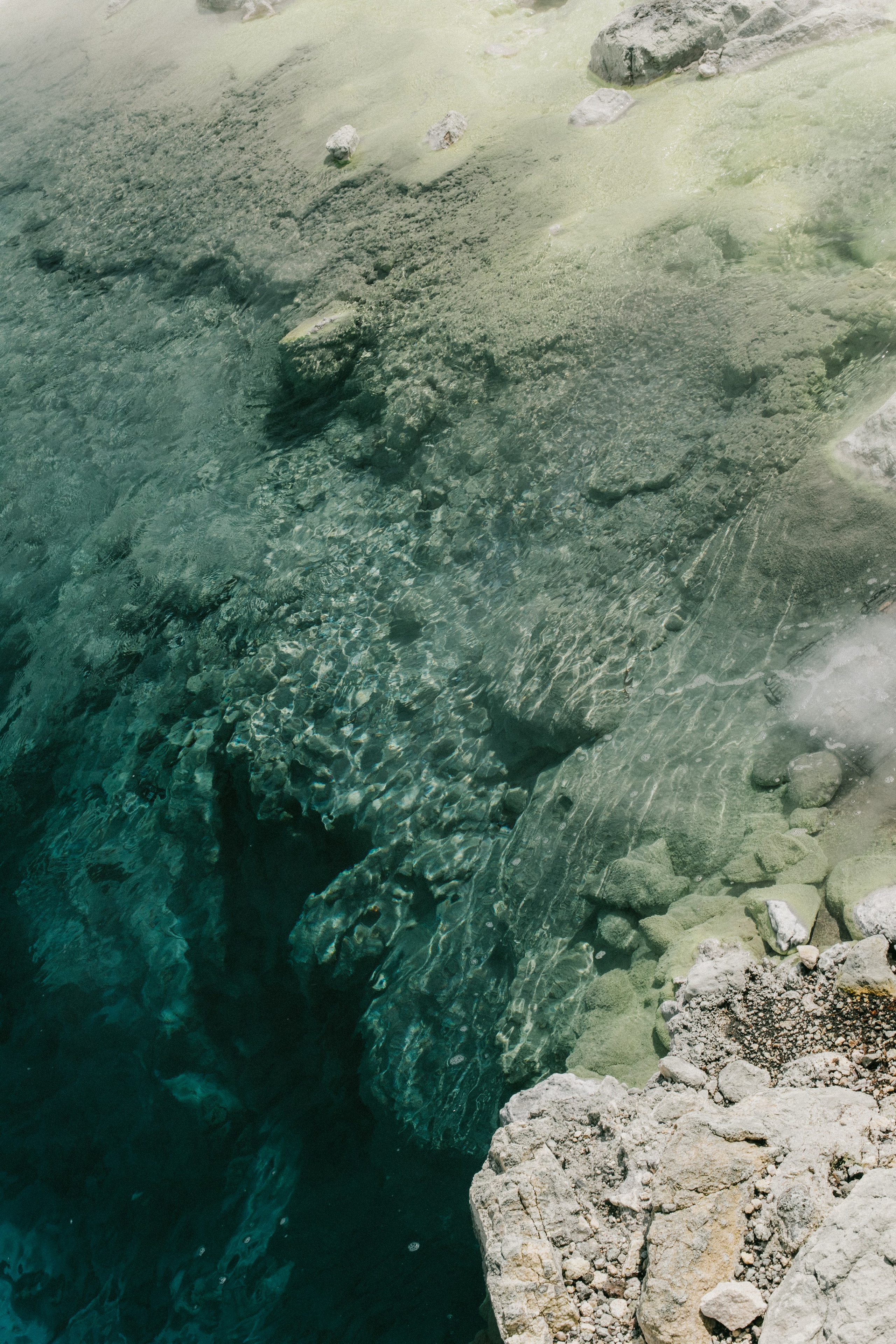 Portfolio. @beingabird.photography