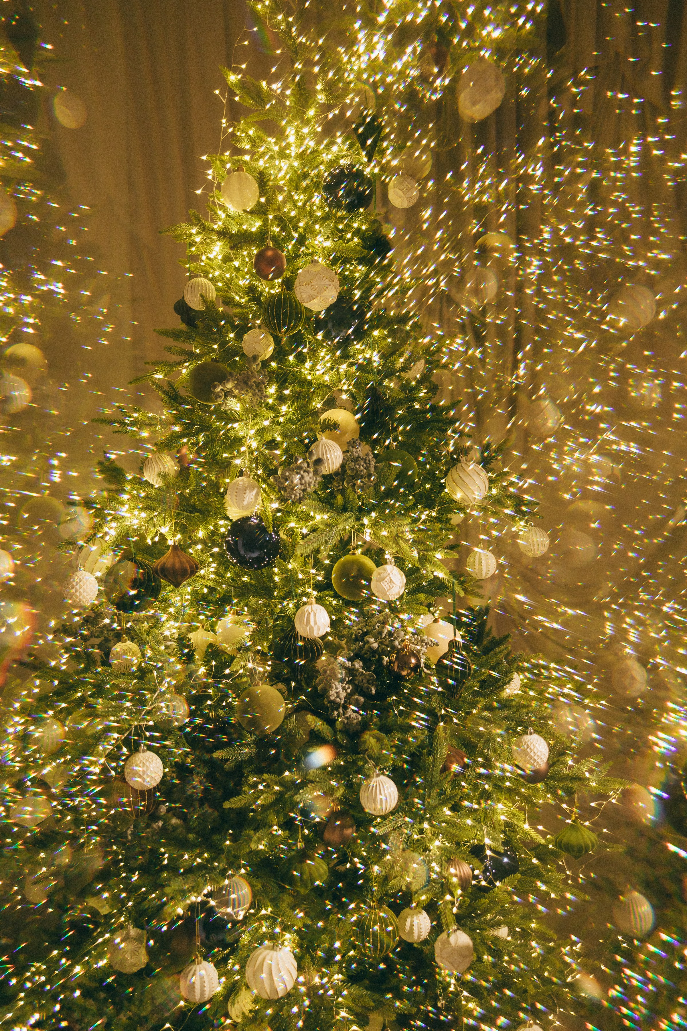 Семейная фотосессия. Семейный фотограф в Волгодонске Краченцева Анна