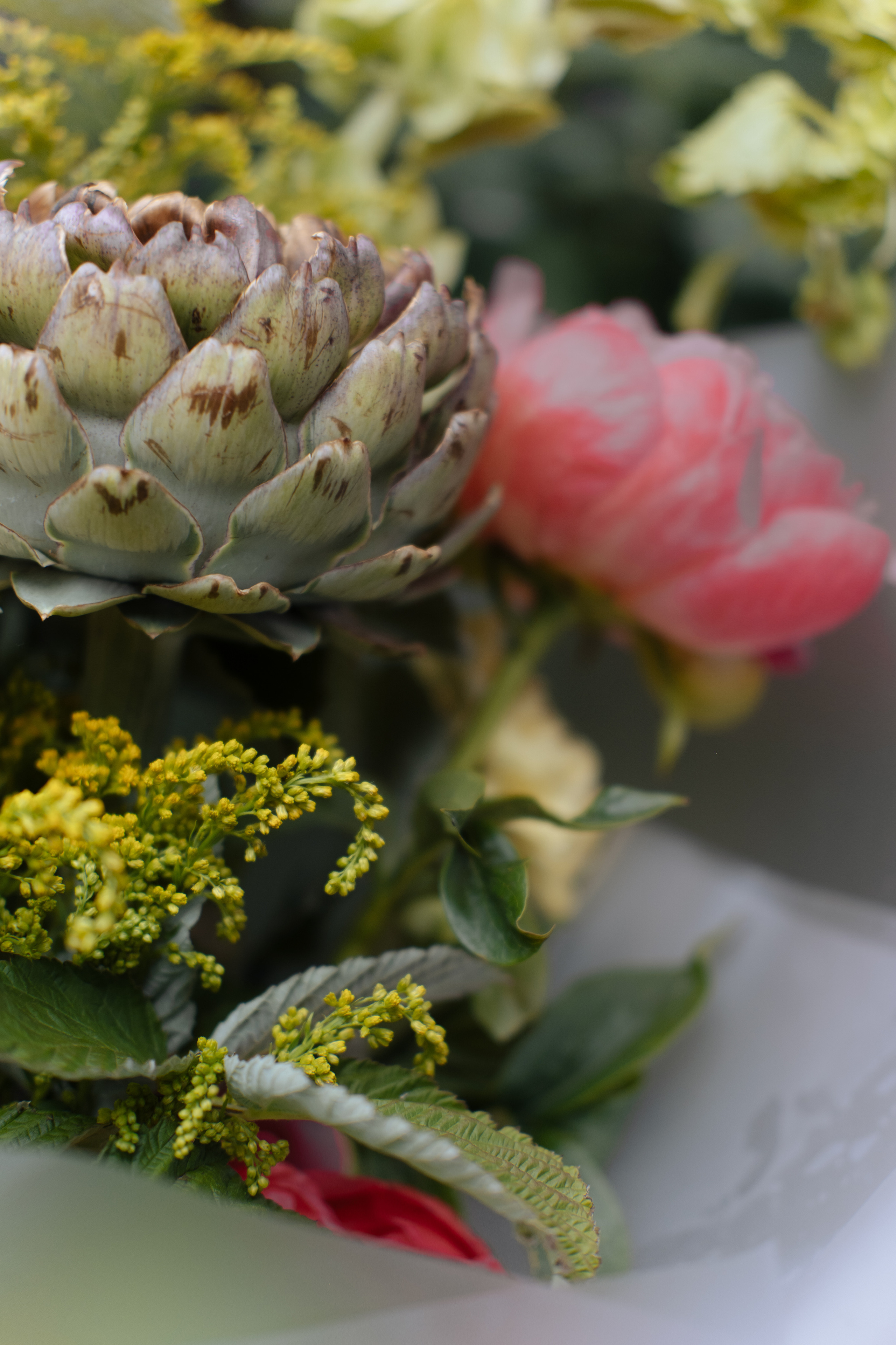 Cozy | Wedding in the garden. Alinsmv