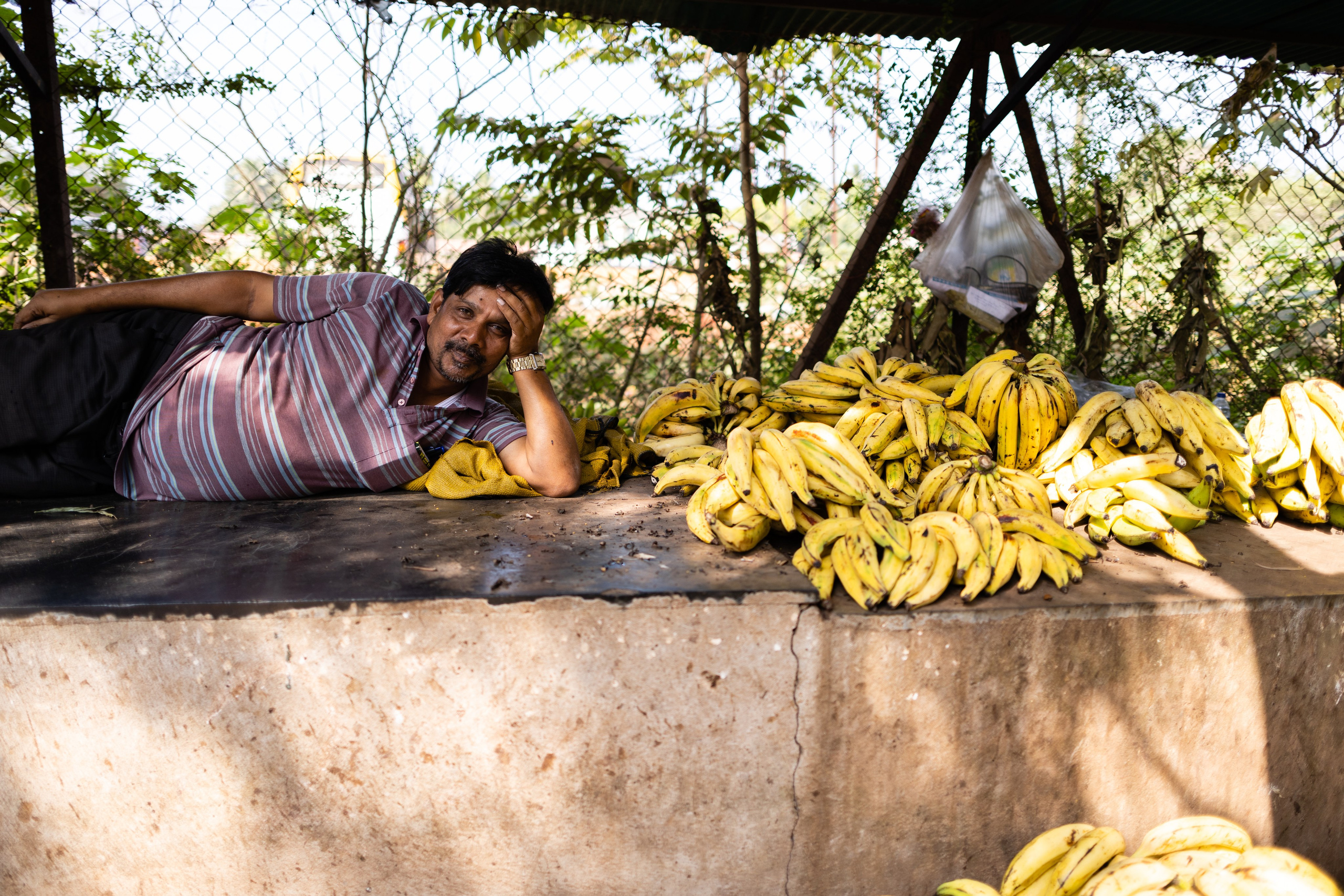 ГОА 2024. Руслан Плахтеев